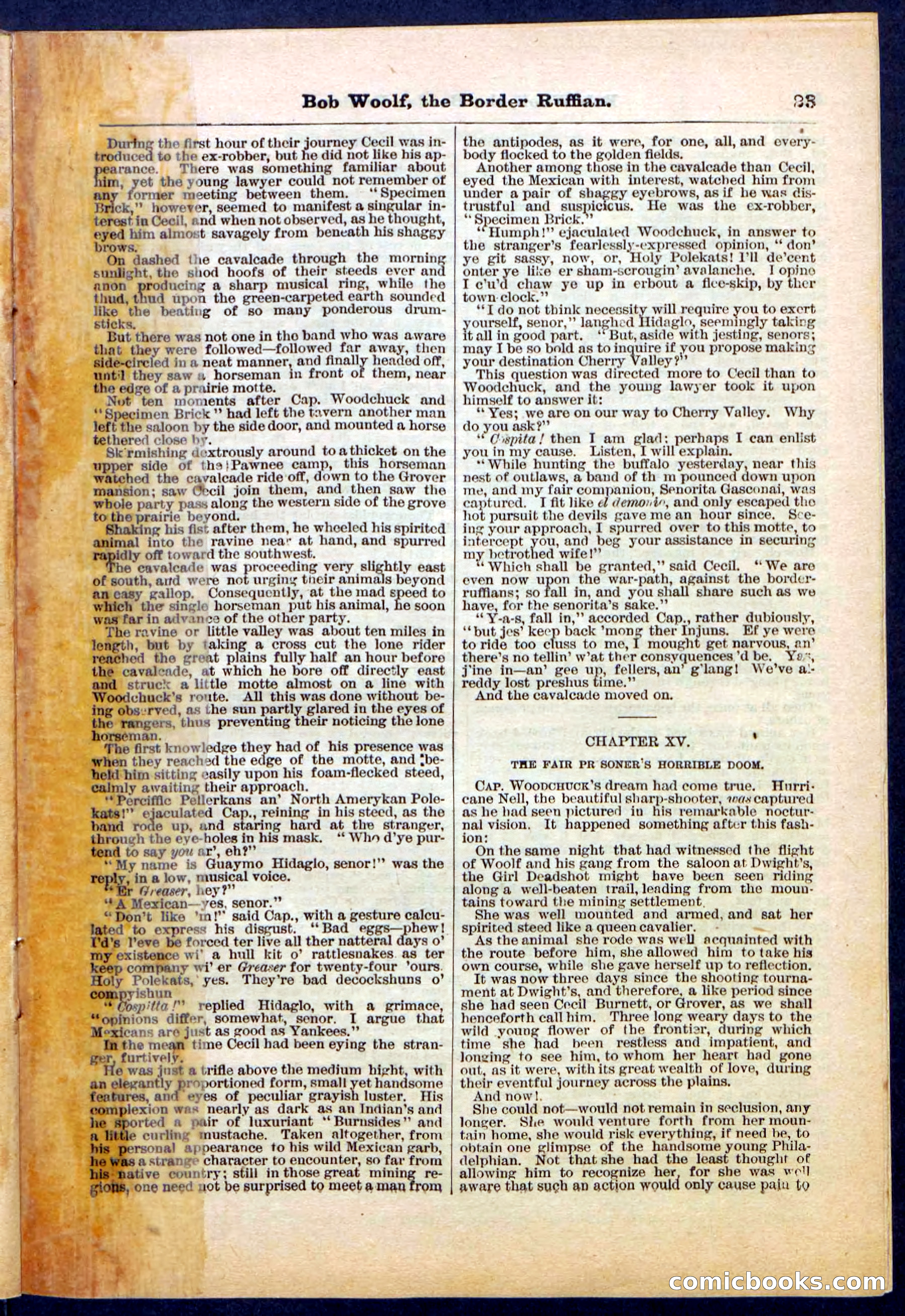 Beadle's Pocket Library, Vol. III, No. 30 — page 23 of 32