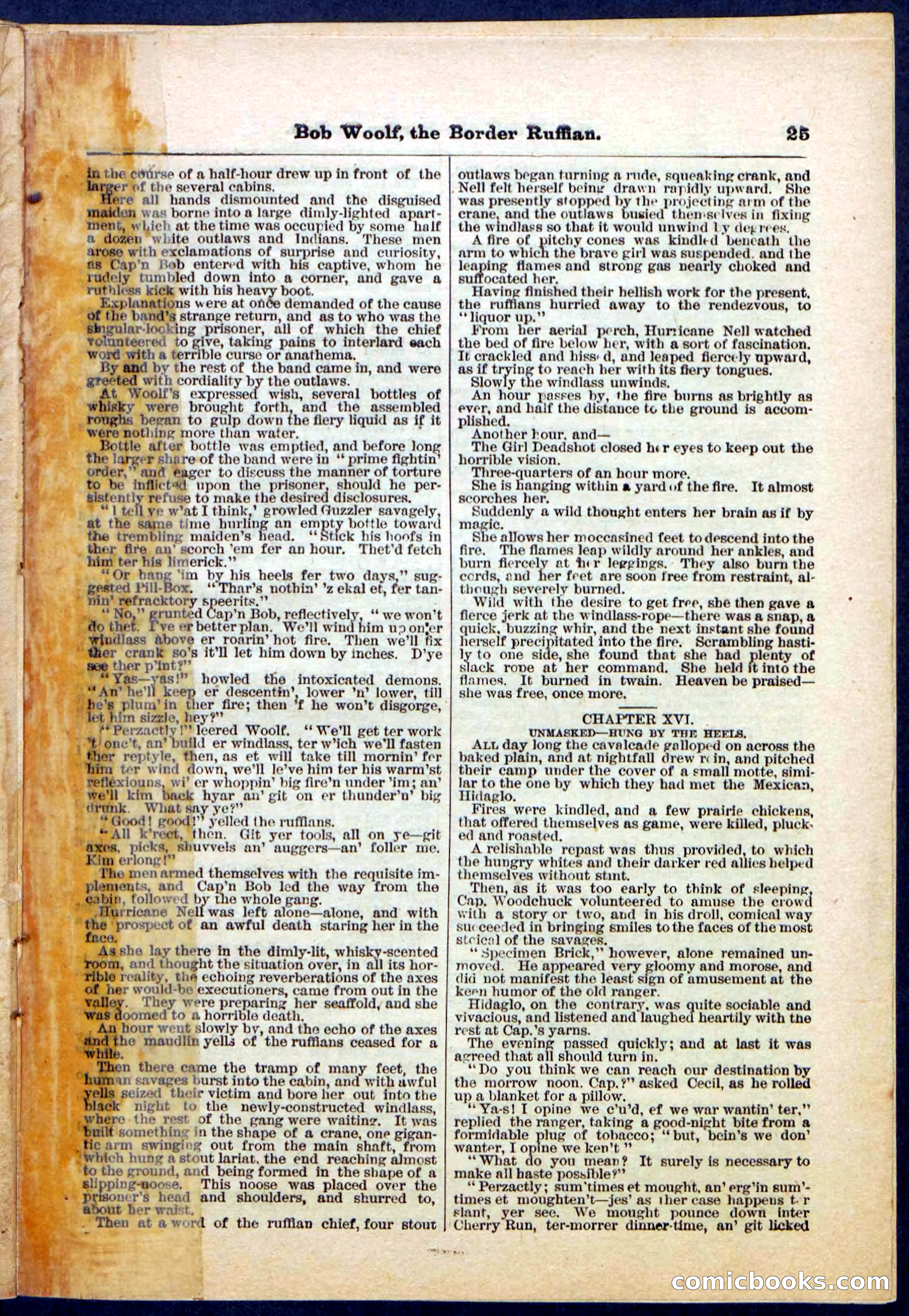 Beadle's Pocket Library, Vol. III, No. 30 — page 25 of 32