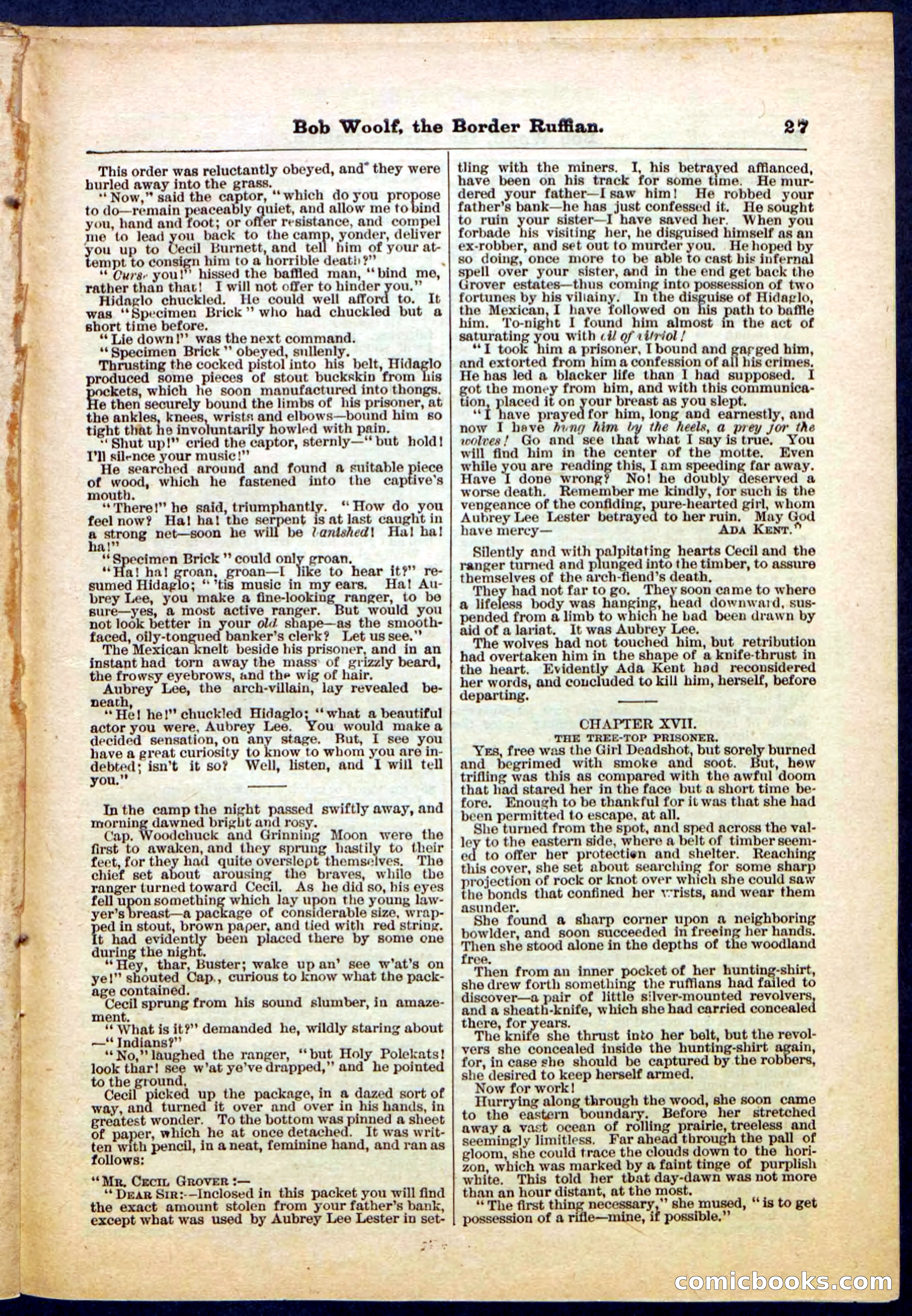 Beadle's Pocket Library, Vol. III, No. 30 — page 27 of 32