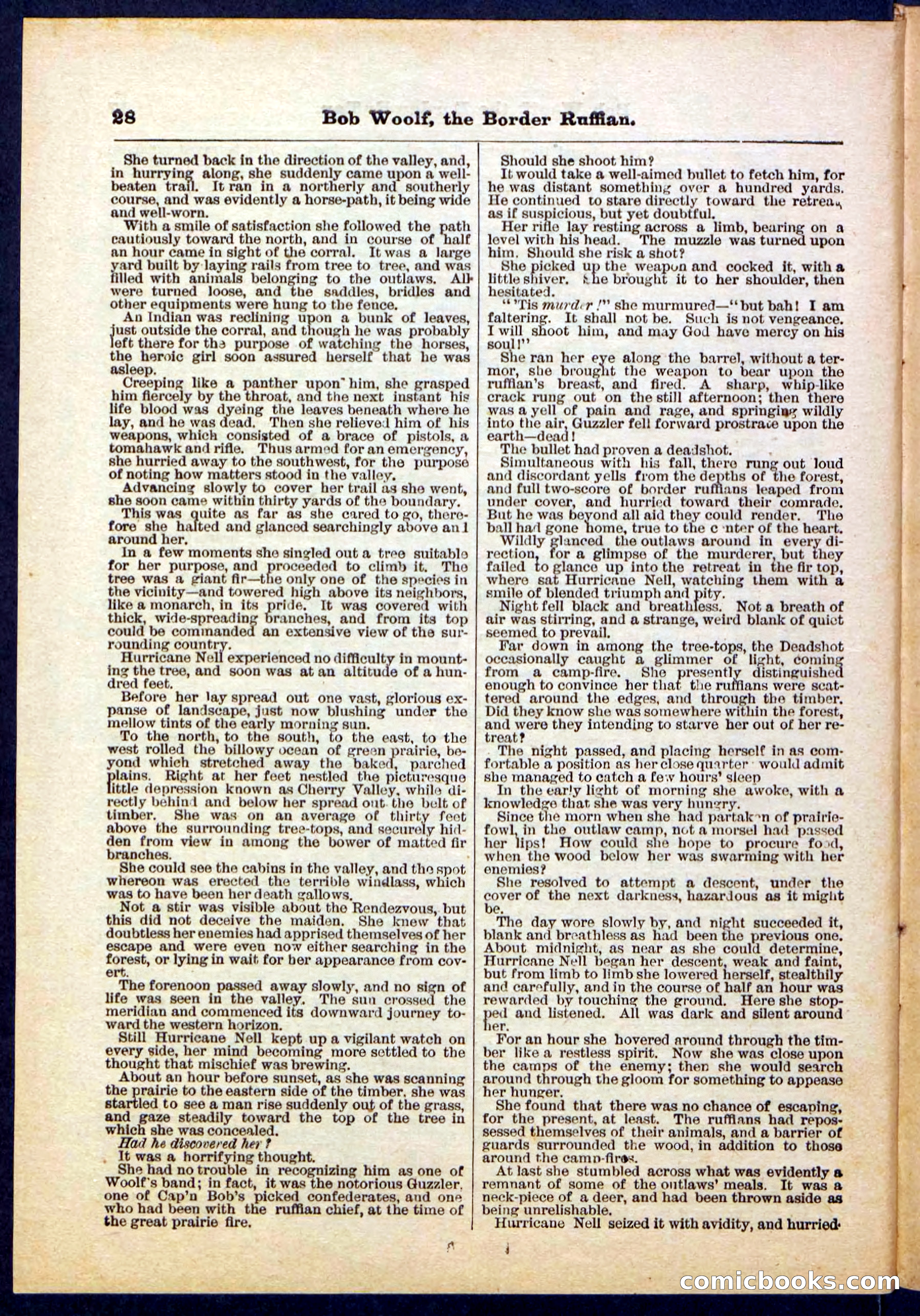 Beadle's Pocket Library, Vol. III, No. 30 — page 28 of 32