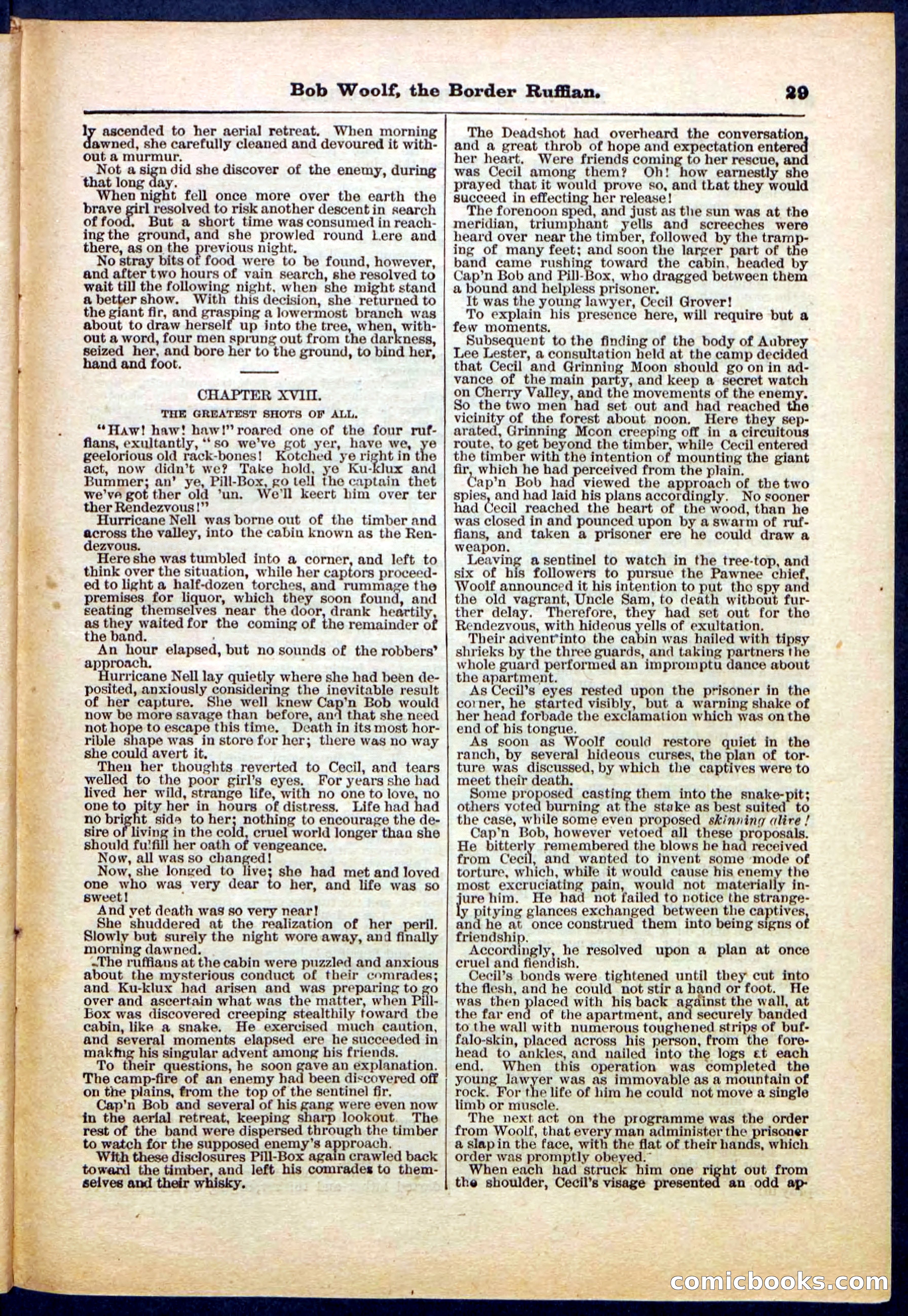 Beadle's Pocket Library, Vol. III, No. 30 — page 29 of 32