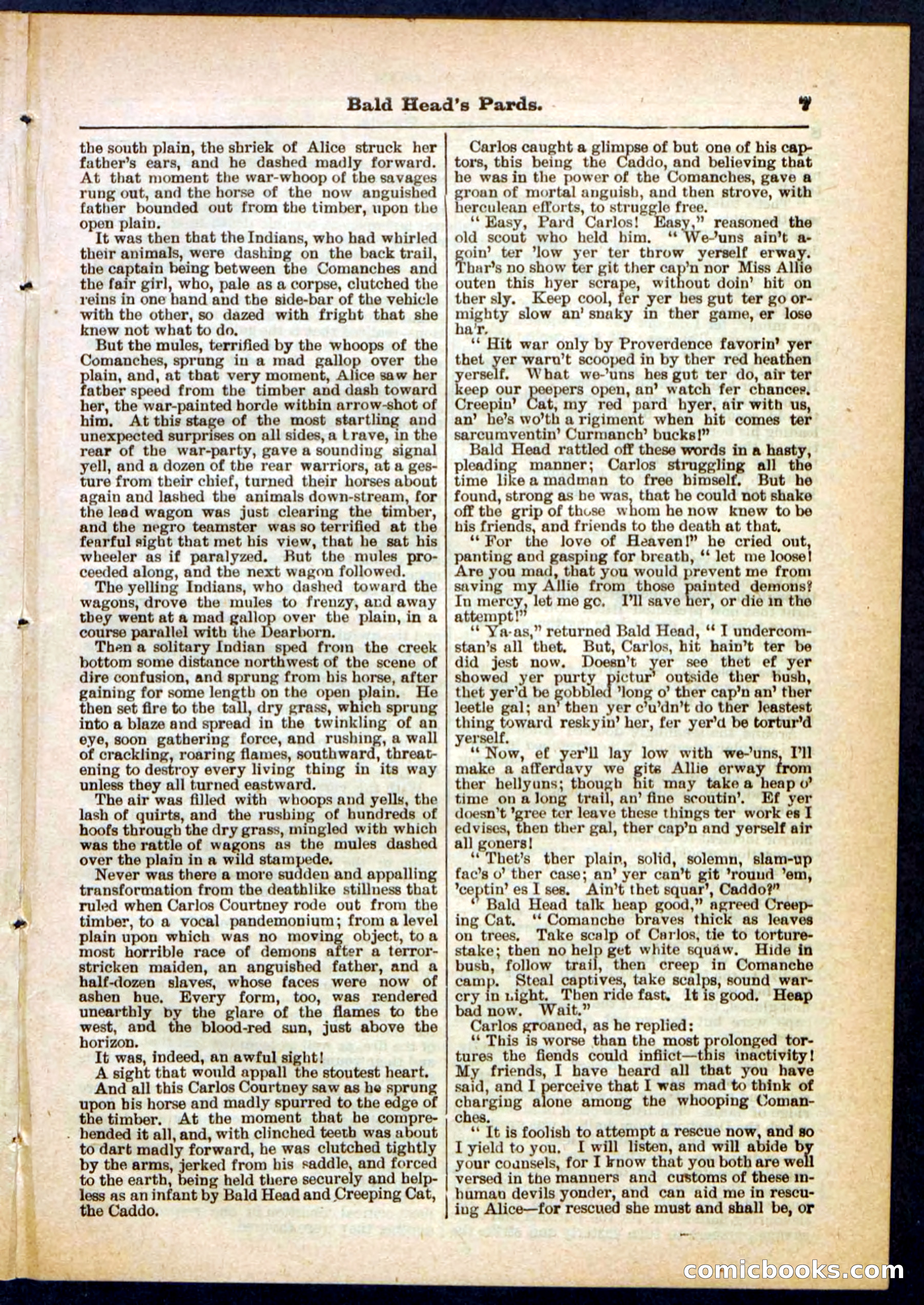 Beadle's Pocket Library No. 304 — page 7 of 48