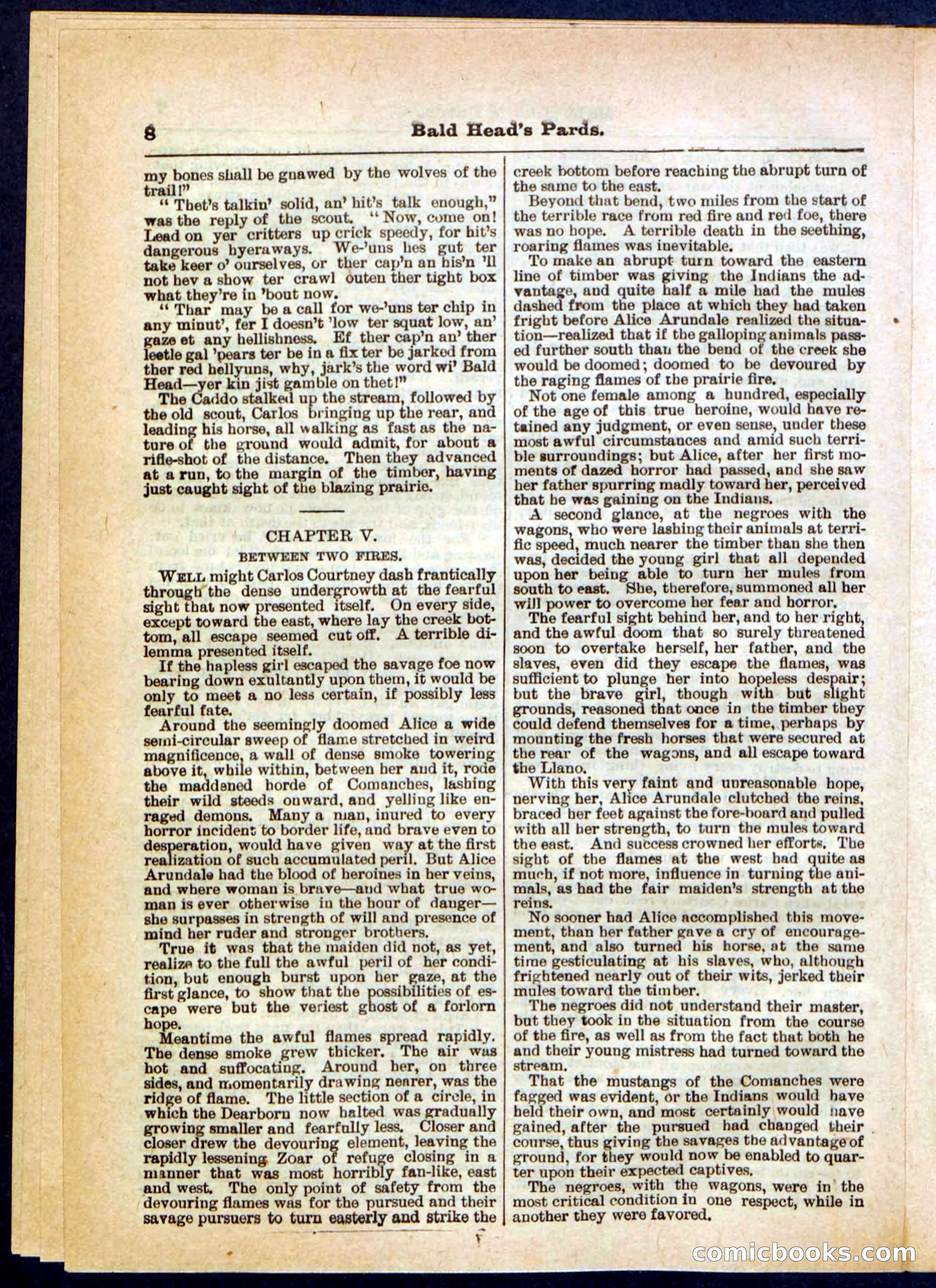 Beadle's Pocket Library No. 304 — page 8 of 48
