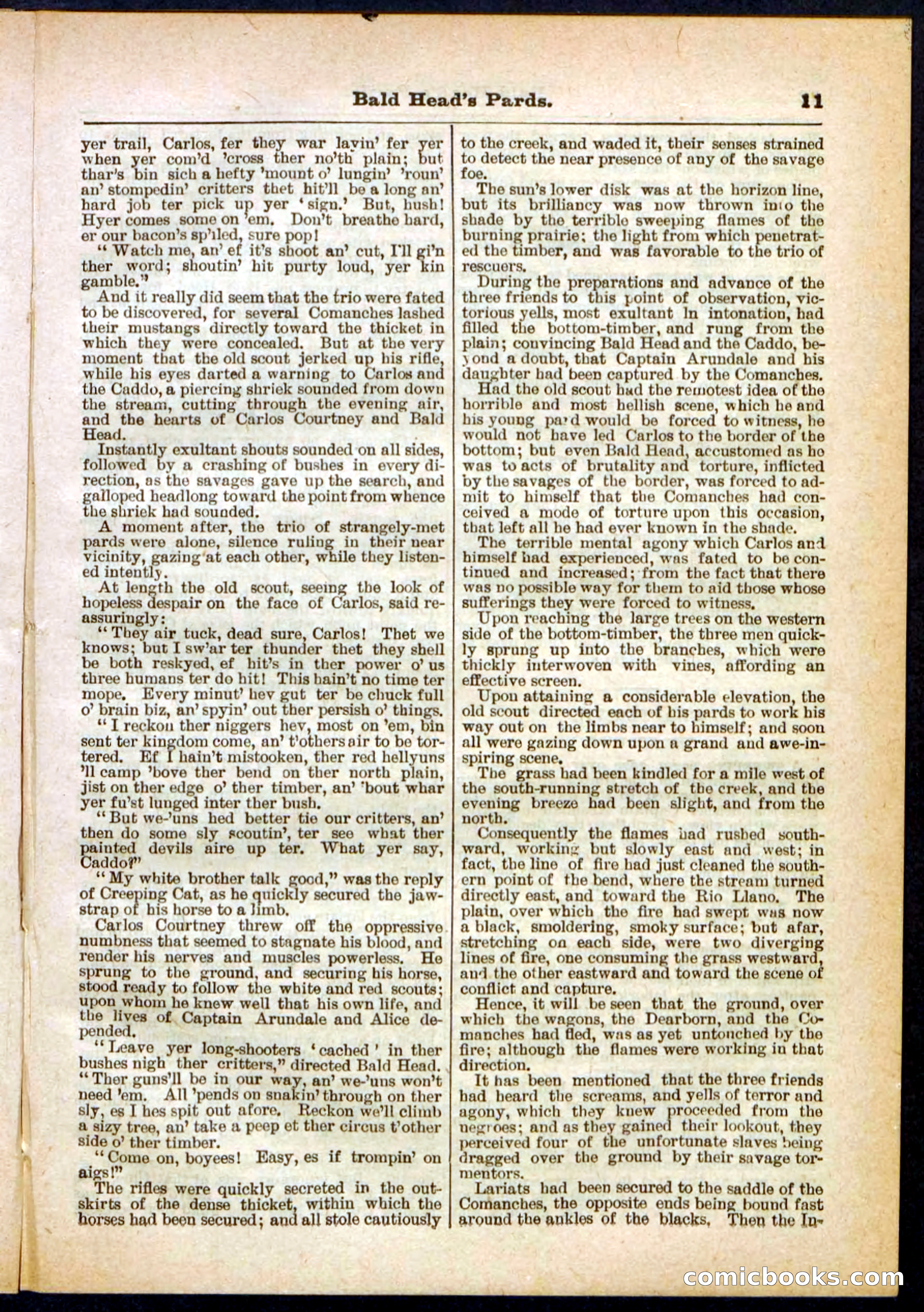 Beadle's Pocket Library No. 304 — page 11 of 48