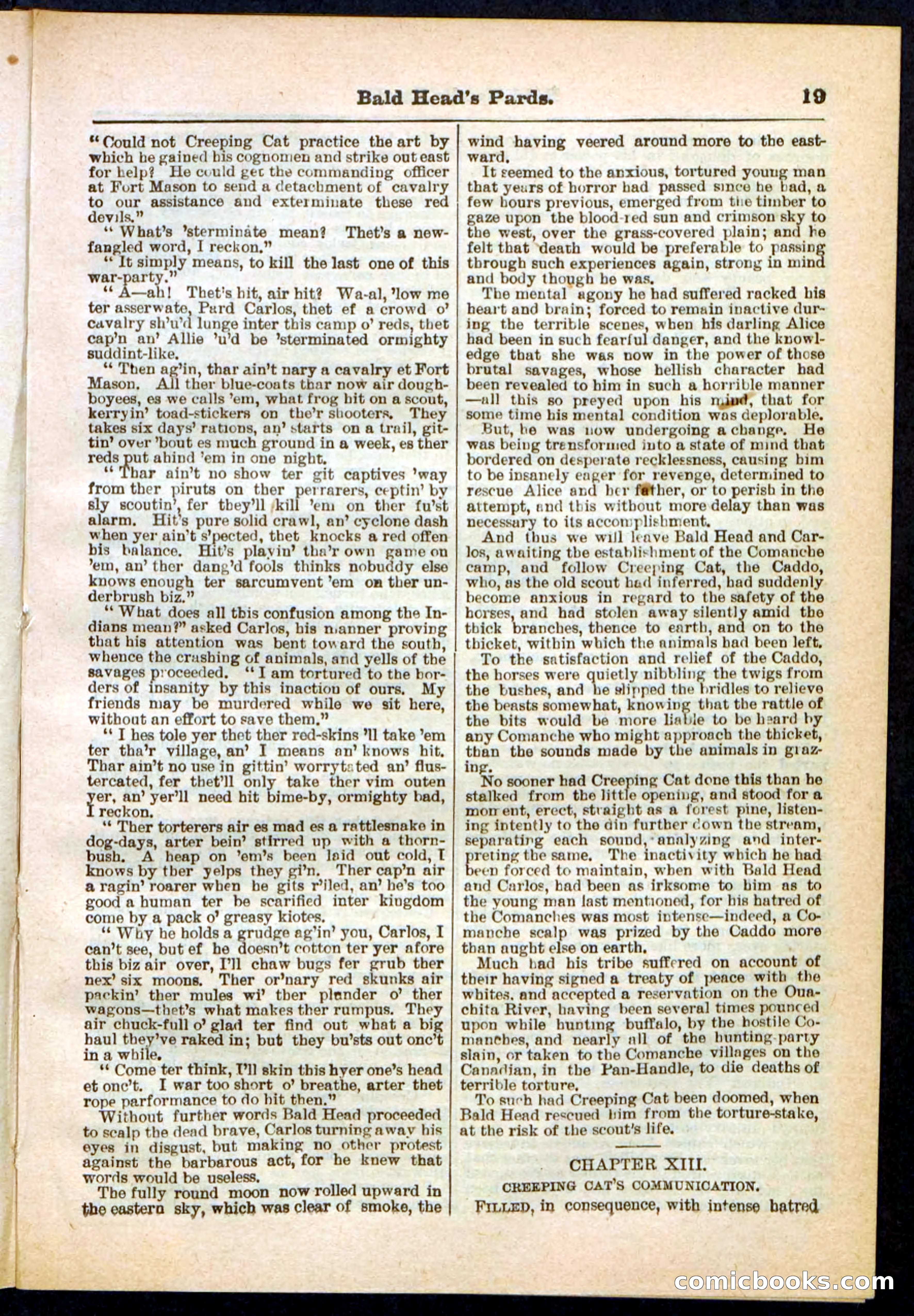 Beadle's Pocket Library No. 304 — page 19 of 48