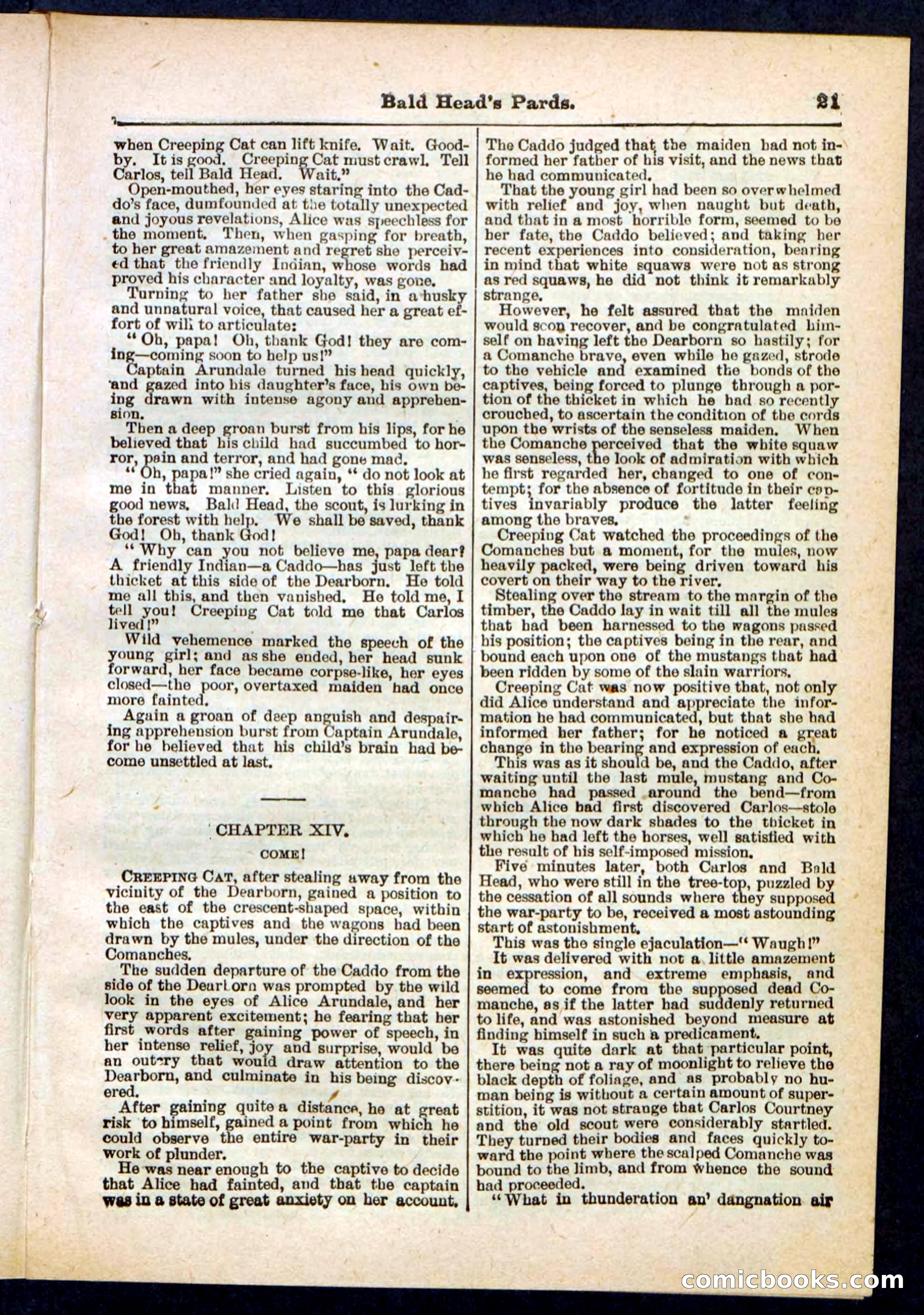 Beadle's Pocket Library No. 304 — page 21 of 48