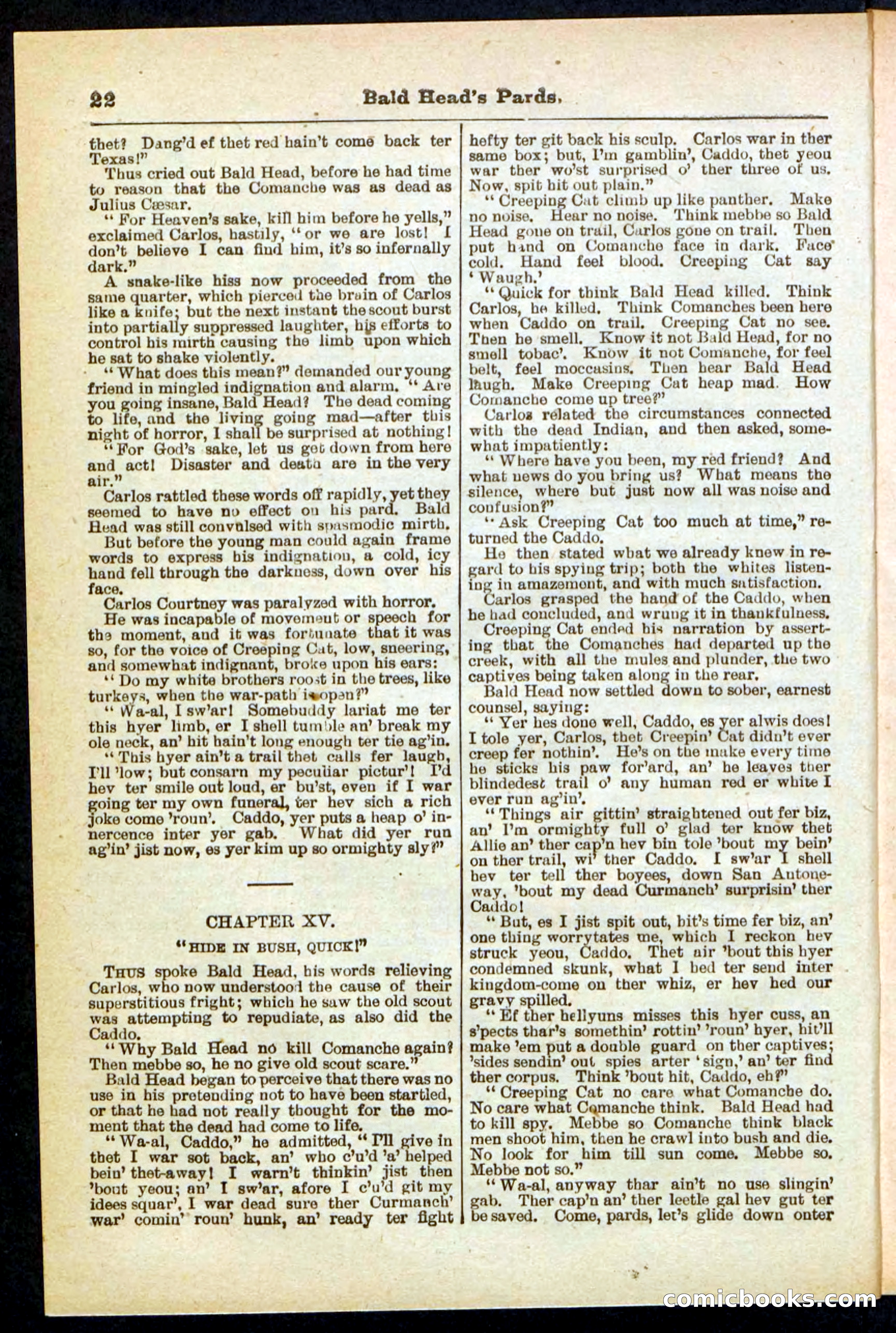 Beadle's Pocket Library No. 304 — page 22 of 48