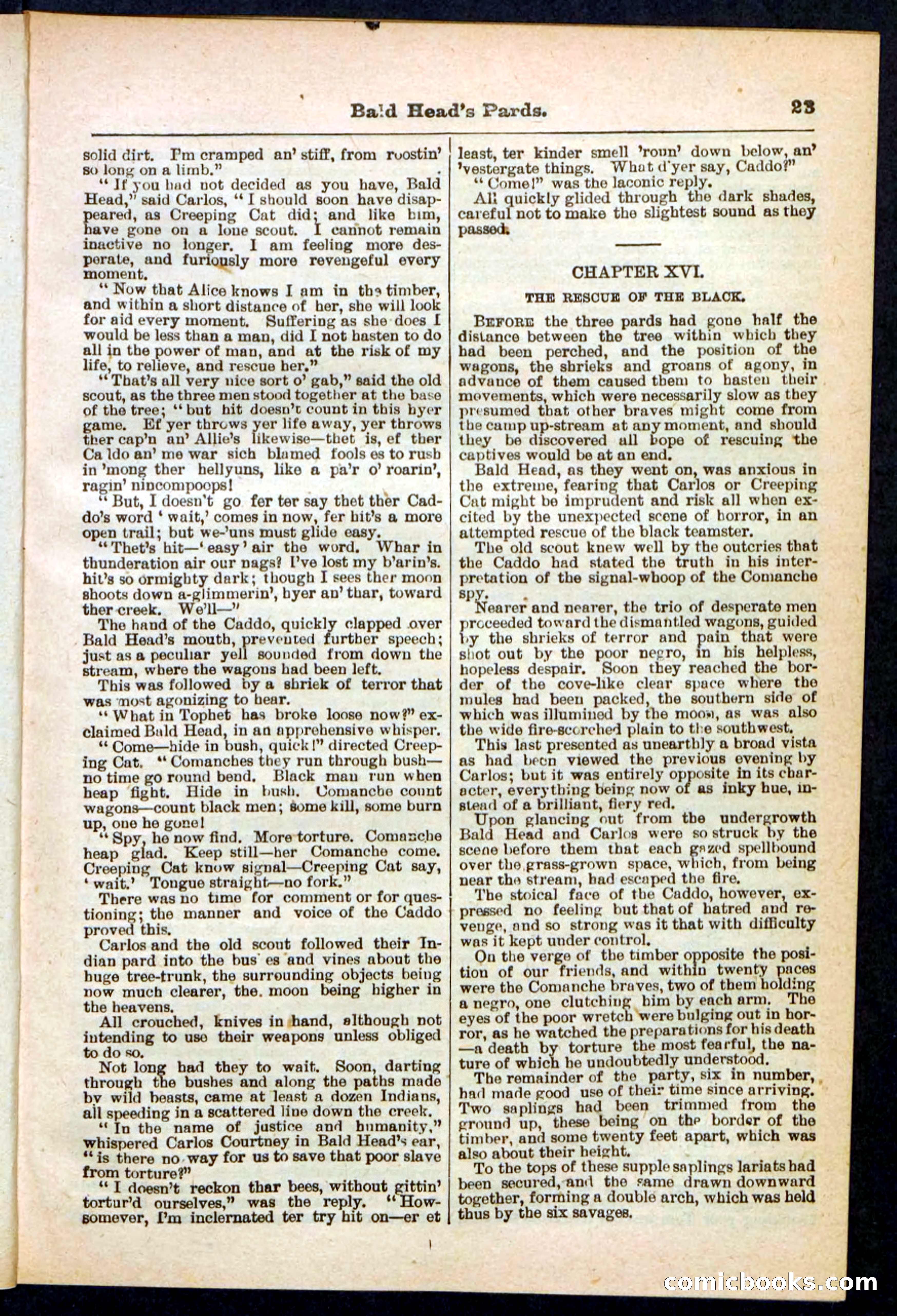Beadle's Pocket Library No. 304 — page 23 of 48