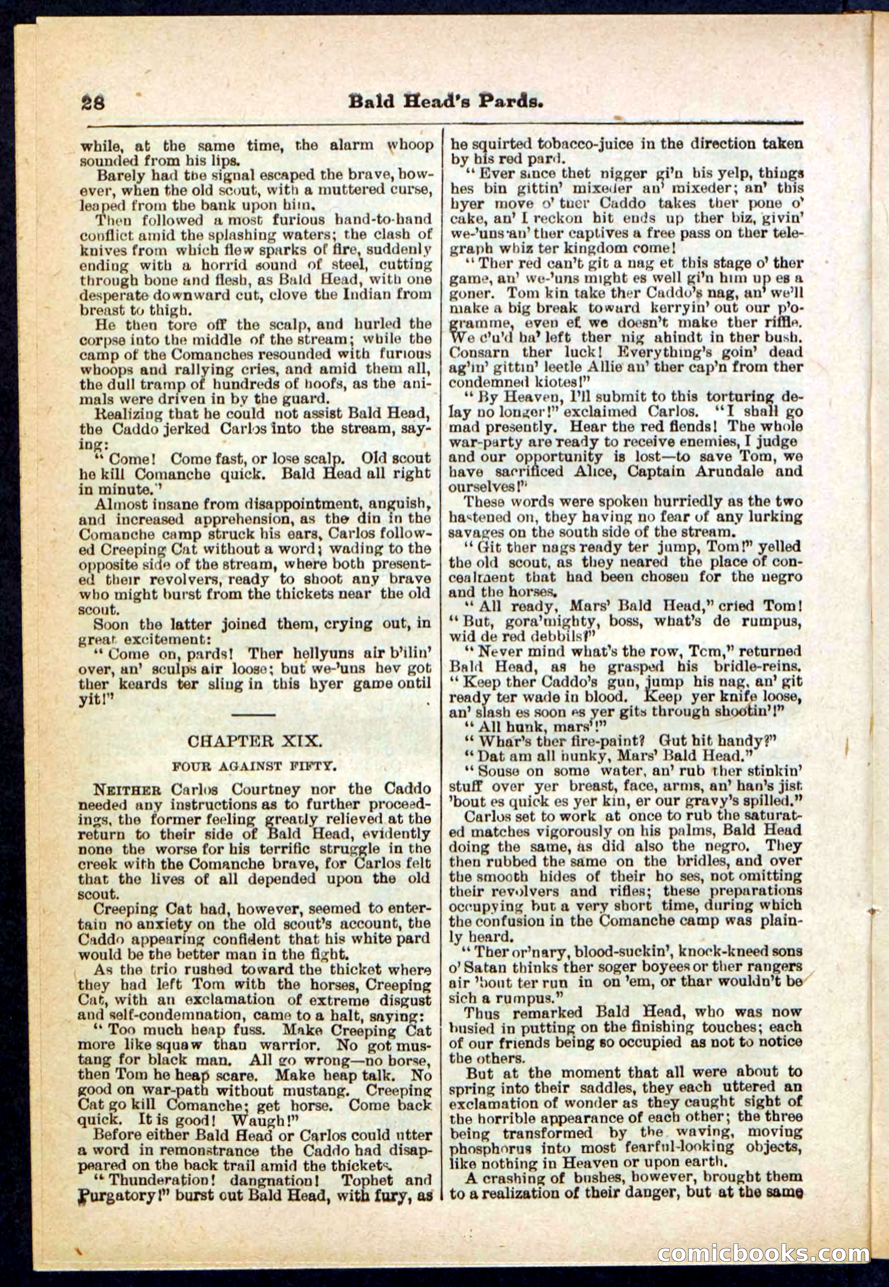 Beadle's Pocket Library No. 304 — page 28 of 48