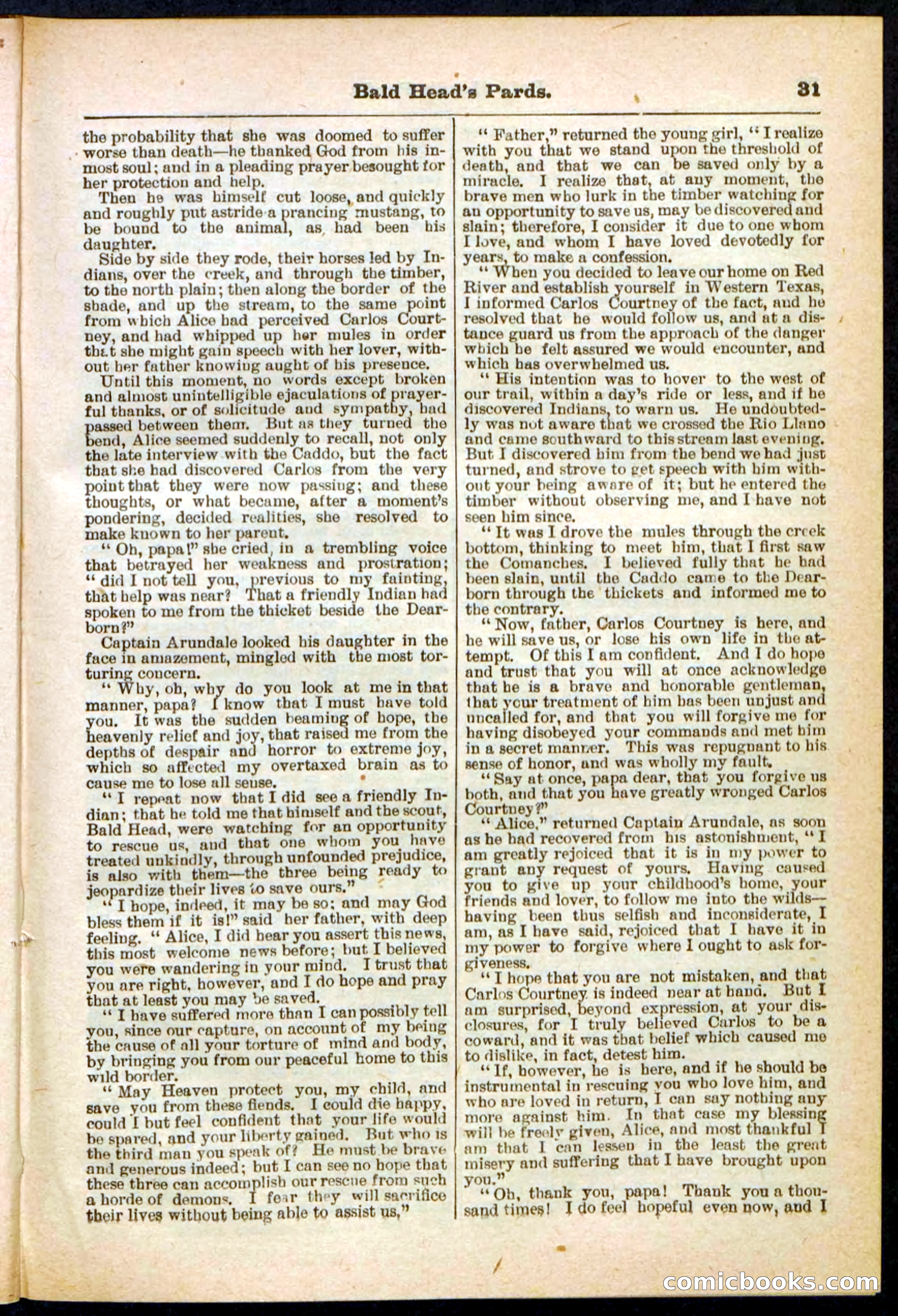 Beadle's Pocket Library No. 304 — page 31 of 48