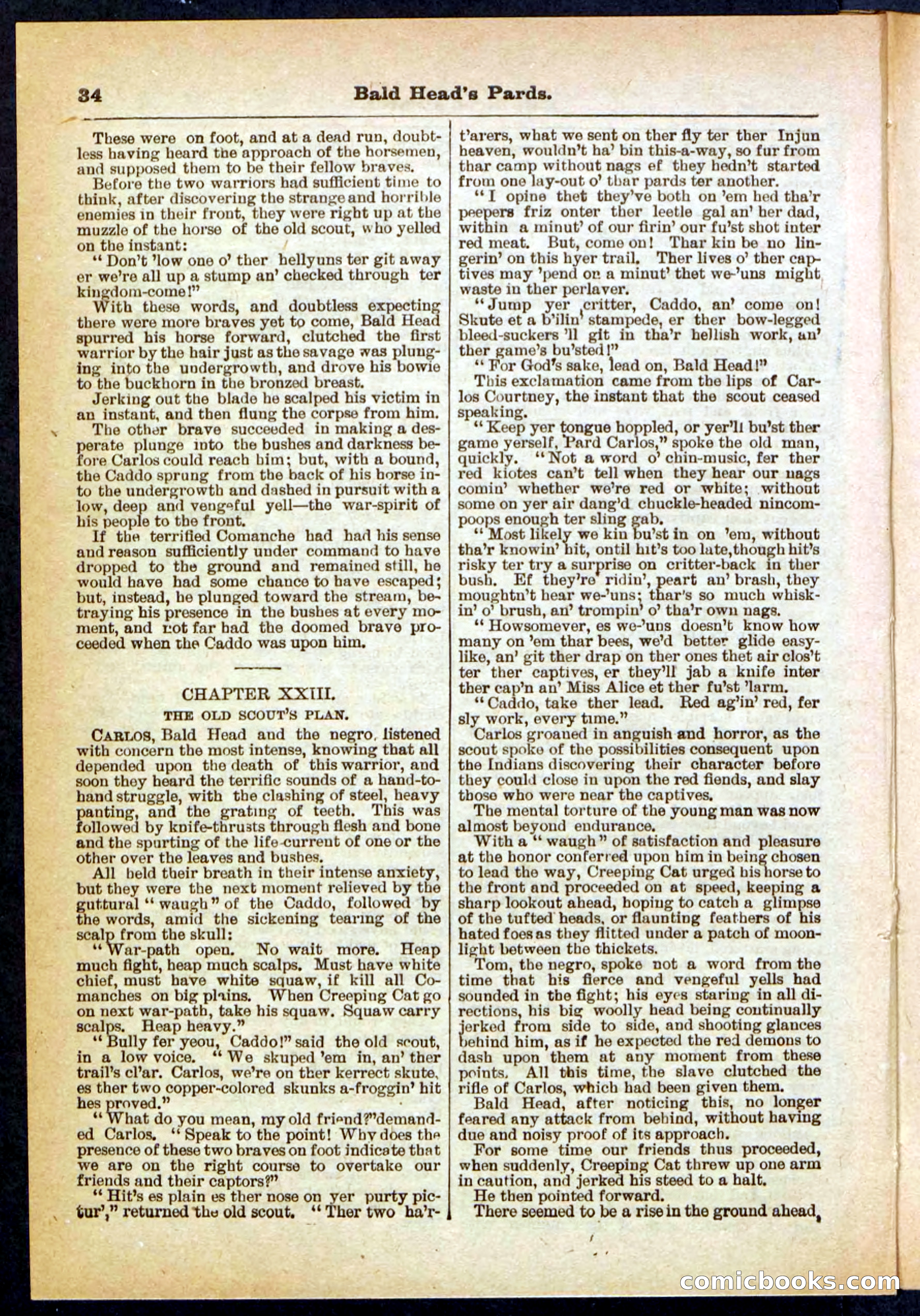 Beadle's Pocket Library No. 304 — page 34 of 48