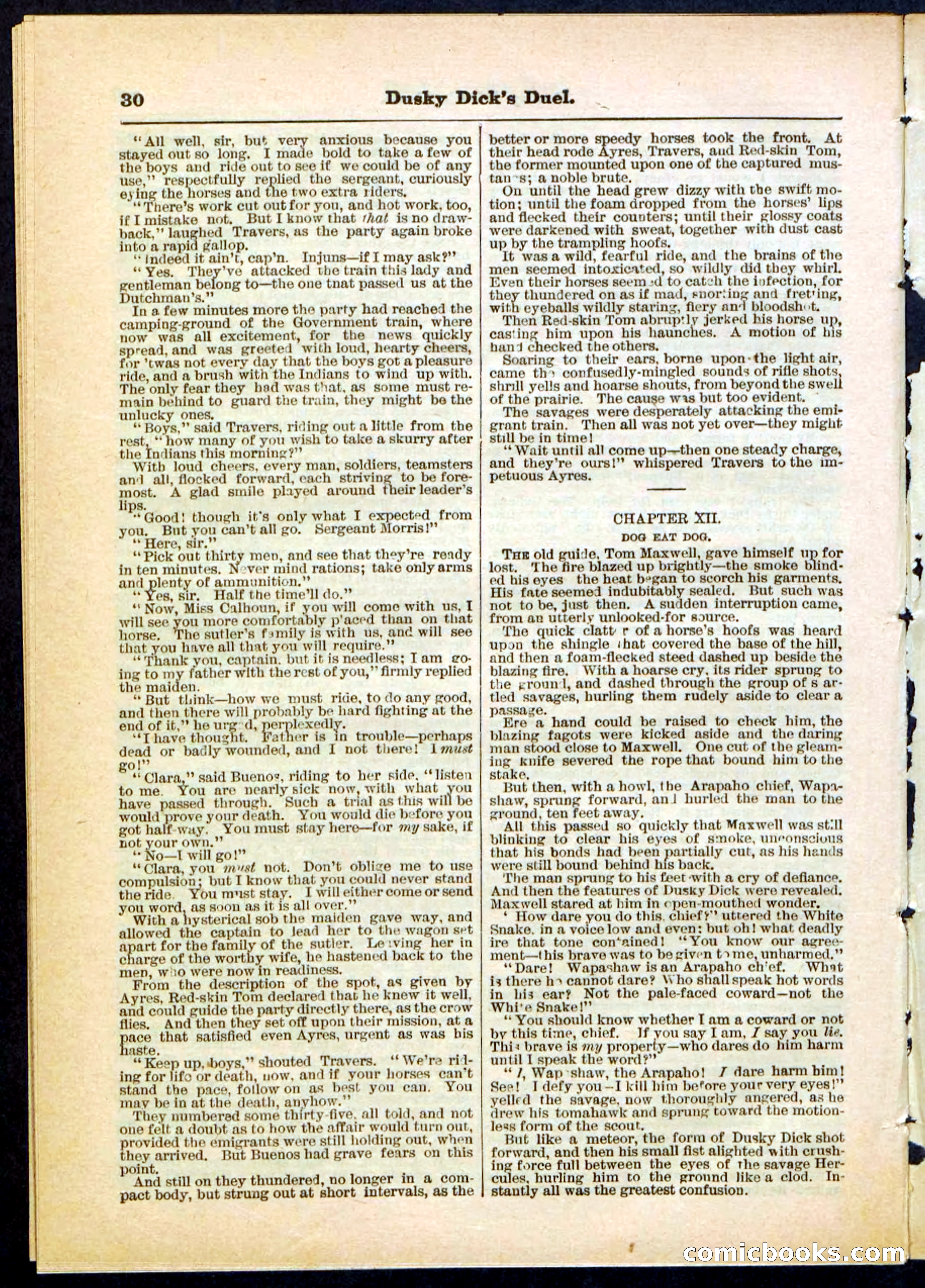 Beadle's Pocket Library No. 305 — page 30 of 32