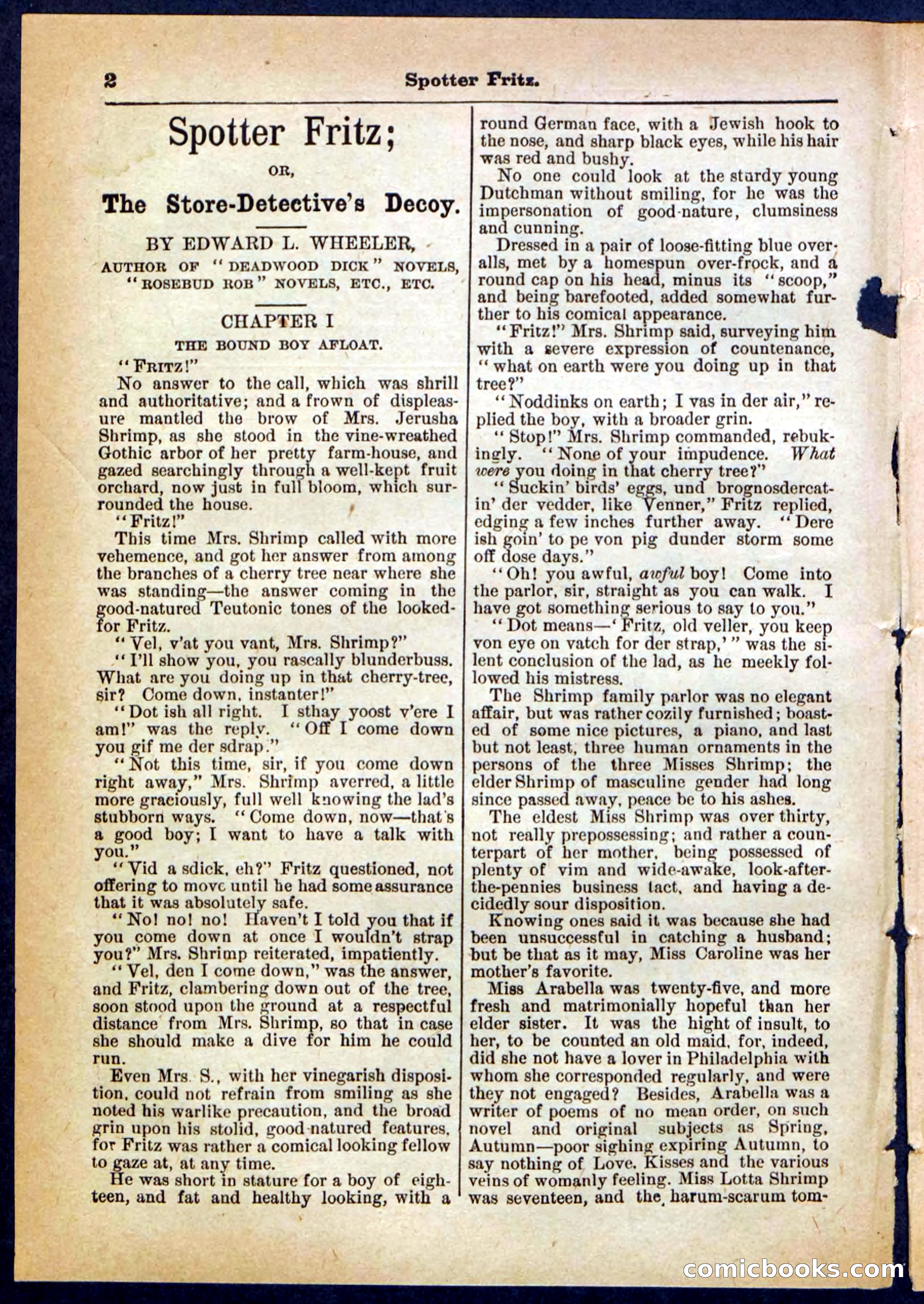 Beadle's Pocket Library No. 306 — page 2 of 32