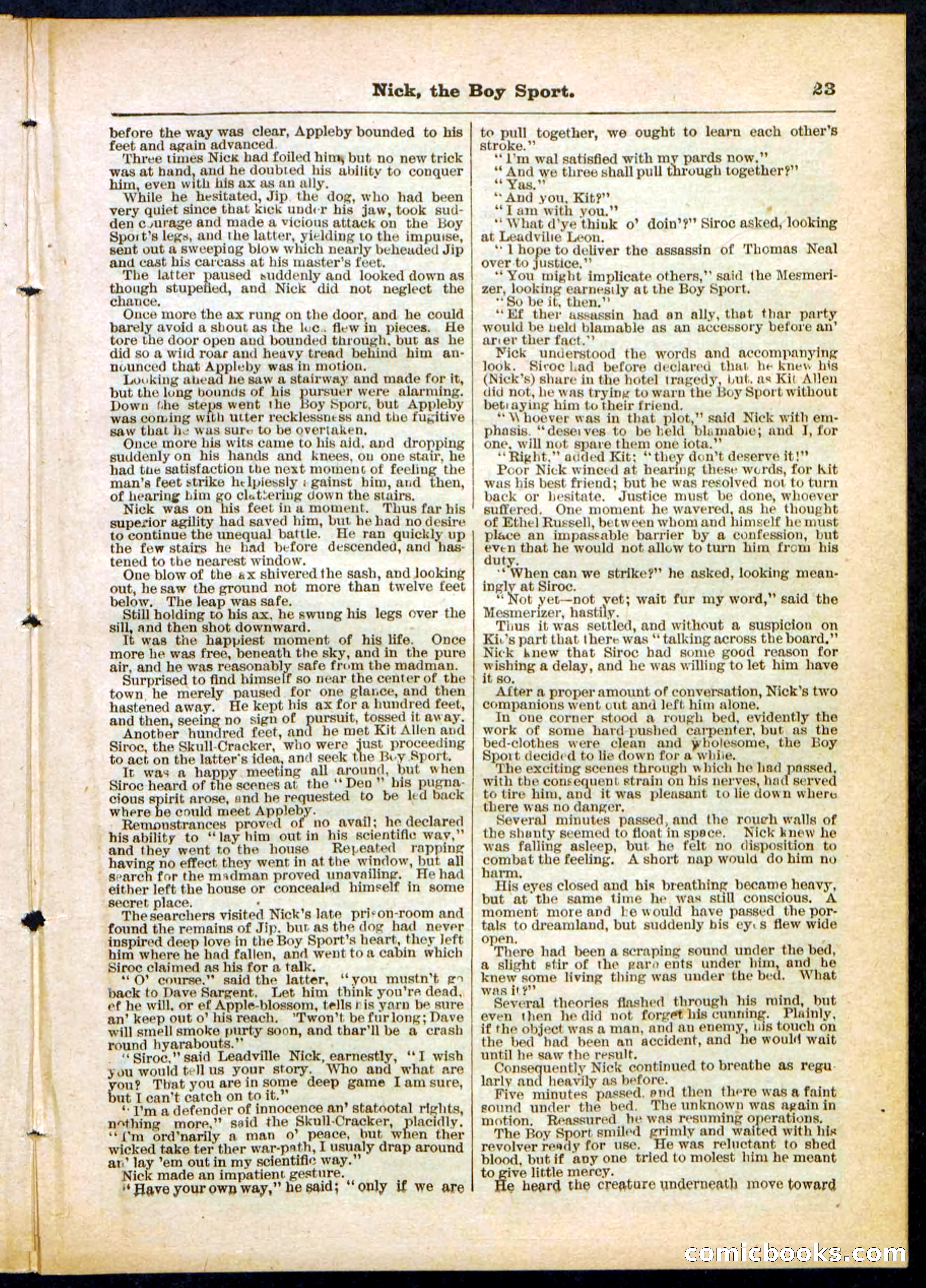 Beadle's Pocket Library, No. 307 — page 23 of 32