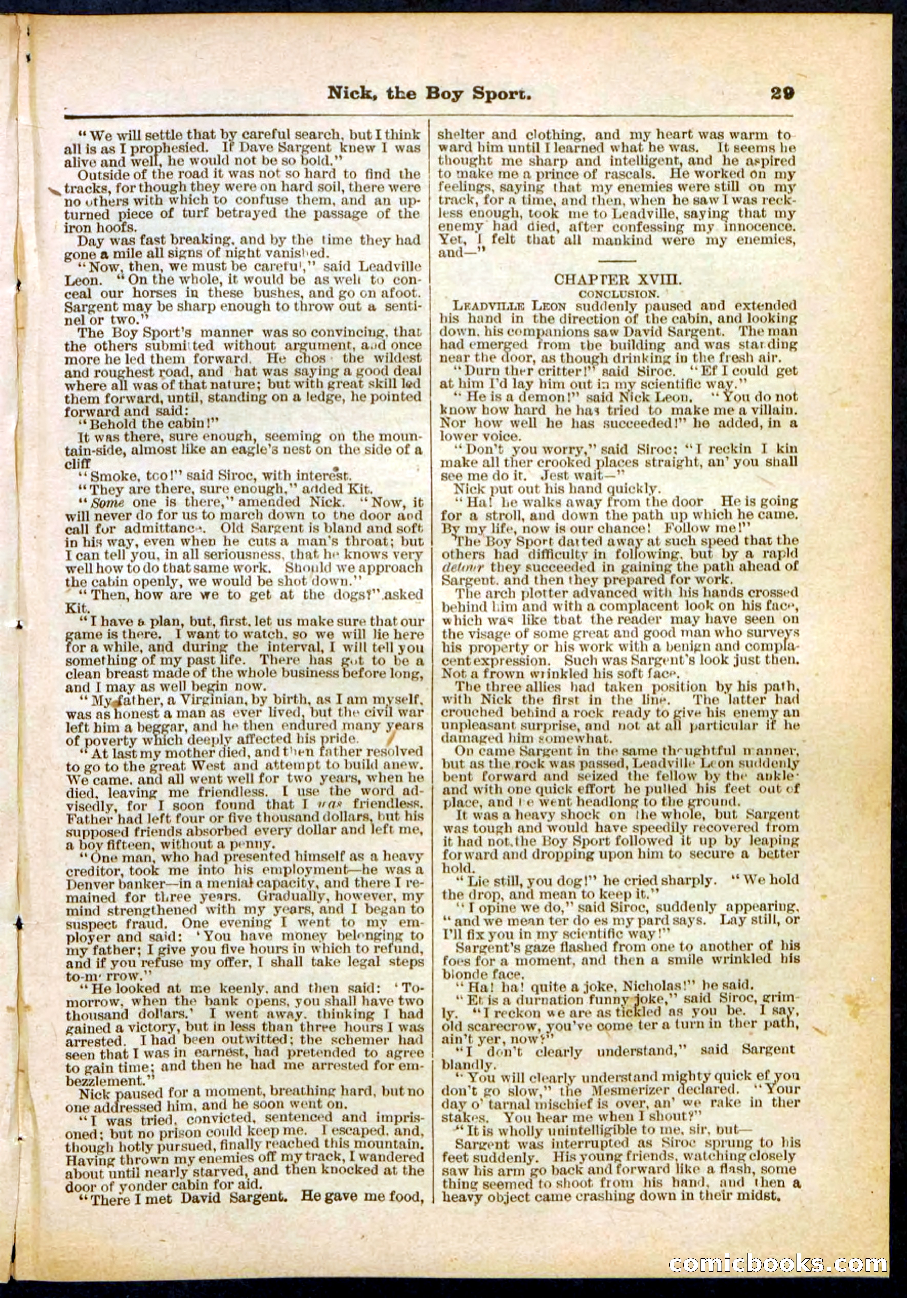 Beadle's Pocket Library, No. 307 — page 29 of 32