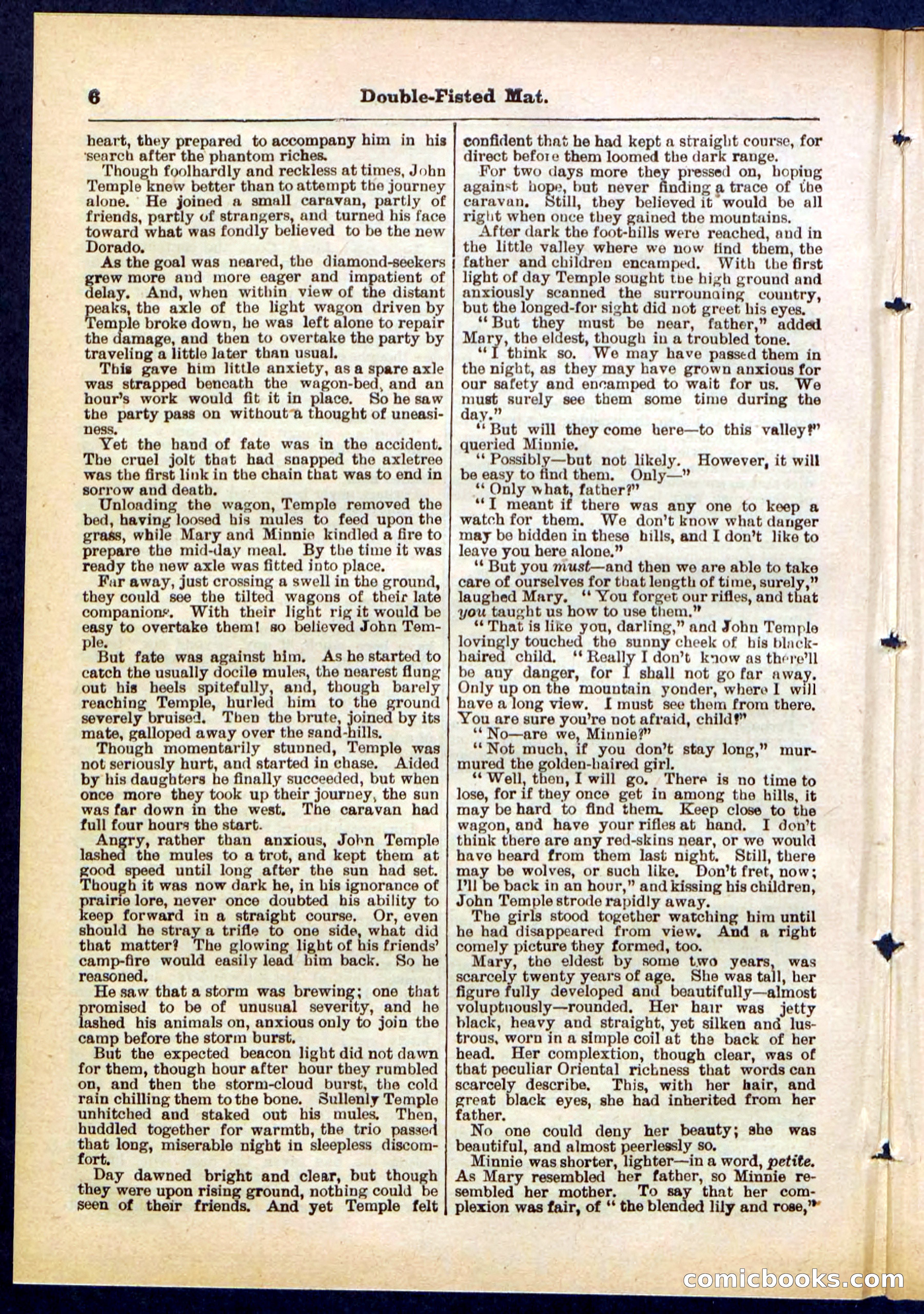 Beadle's Pocket Library, No. 308 — page 6 of 32