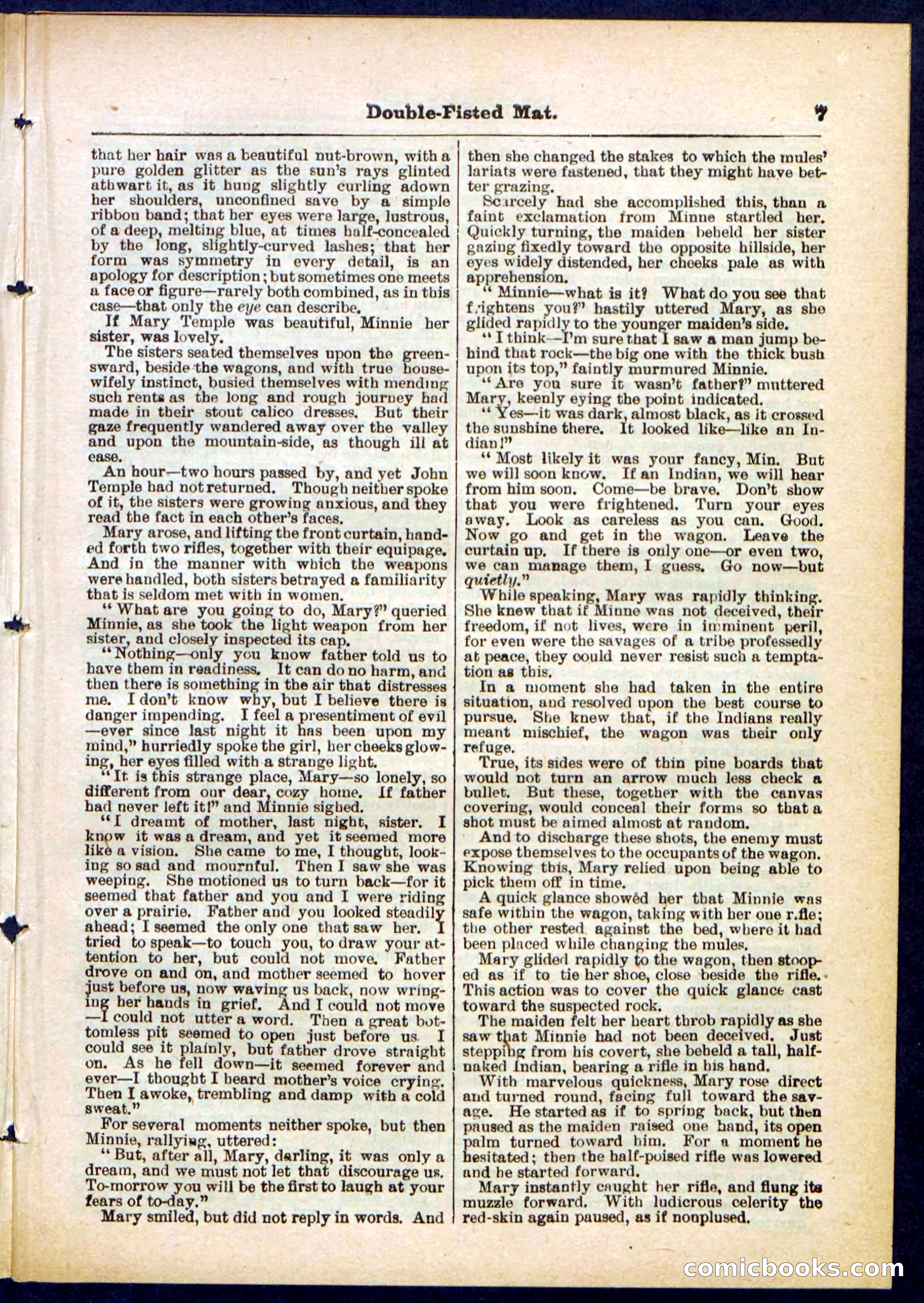 Beadle's Pocket Library, No. 308 — page 7 of 32