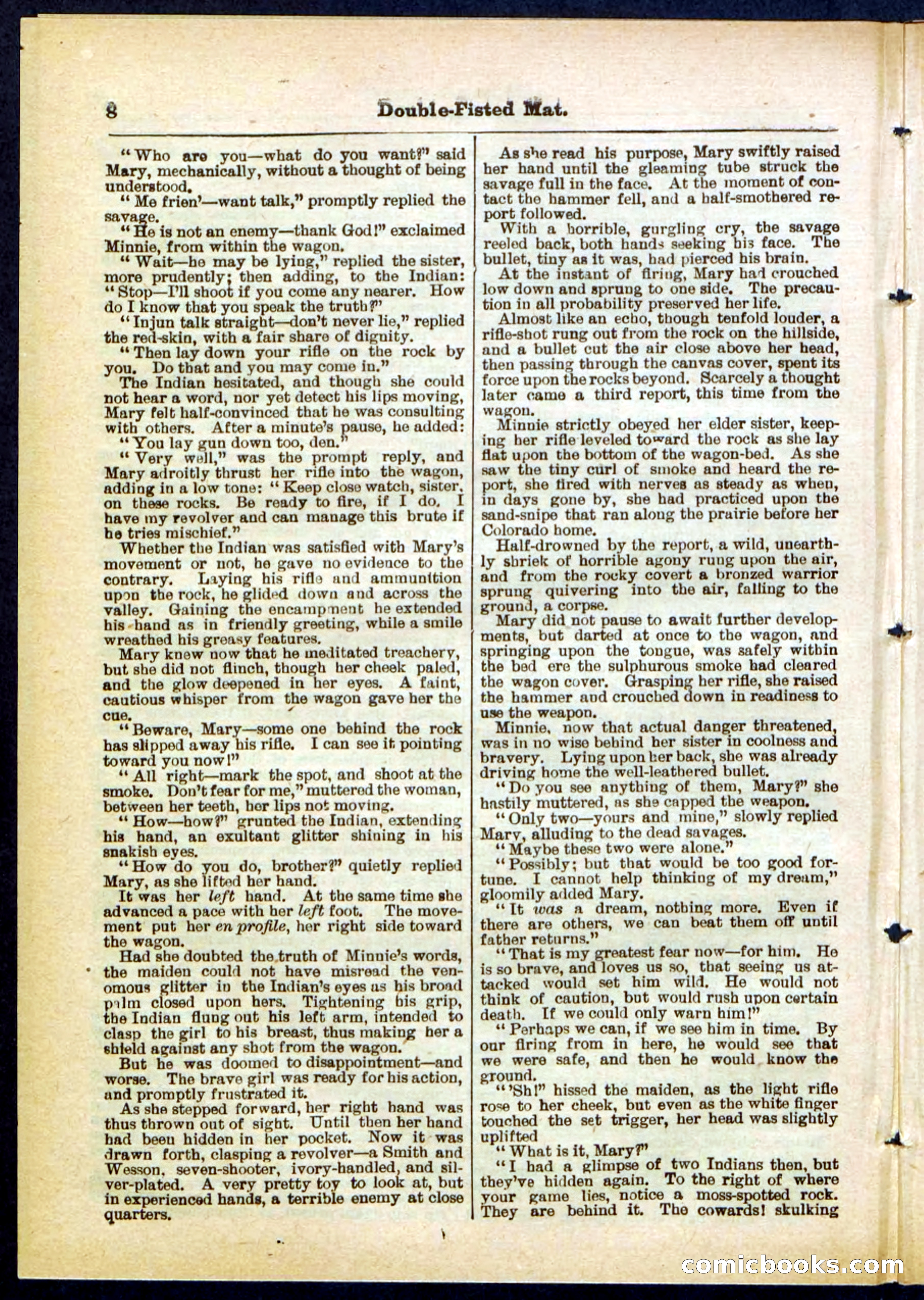 Beadle's Pocket Library, No. 308 — page 8 of 32