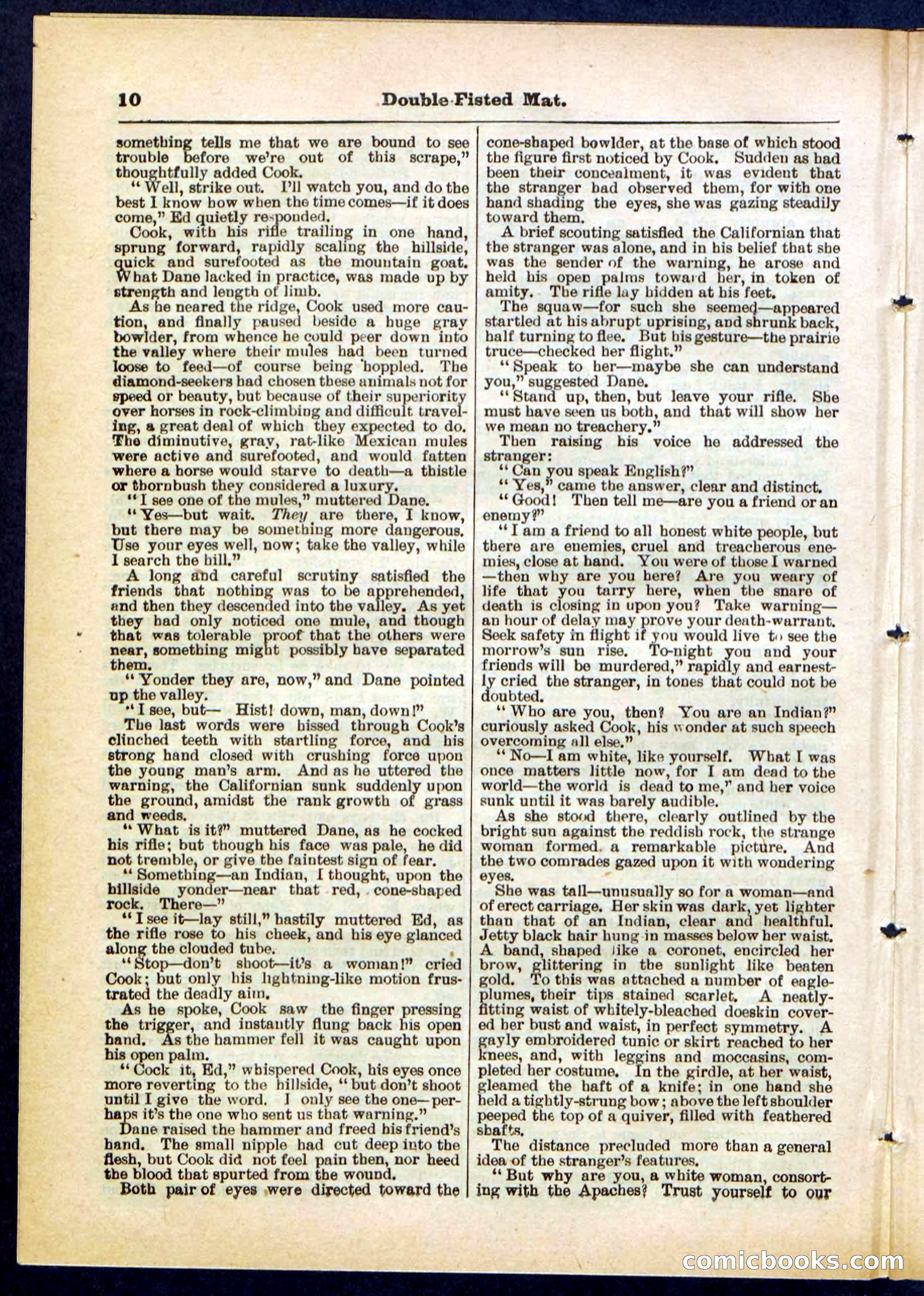 Beadle's Pocket Library, No. 308 — page 10 of 32