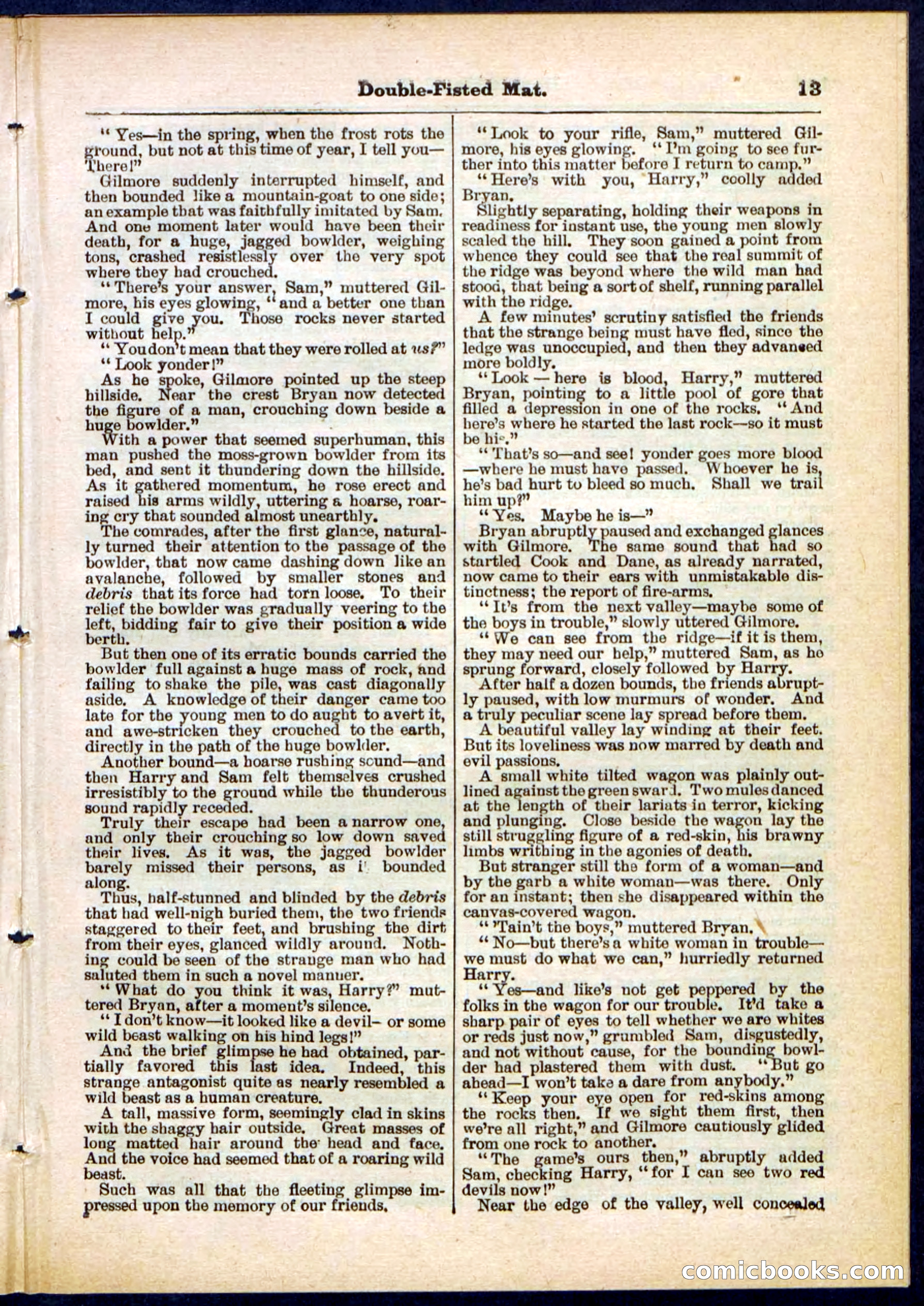 Beadle's Pocket Library, No. 308 — page 13 of 32