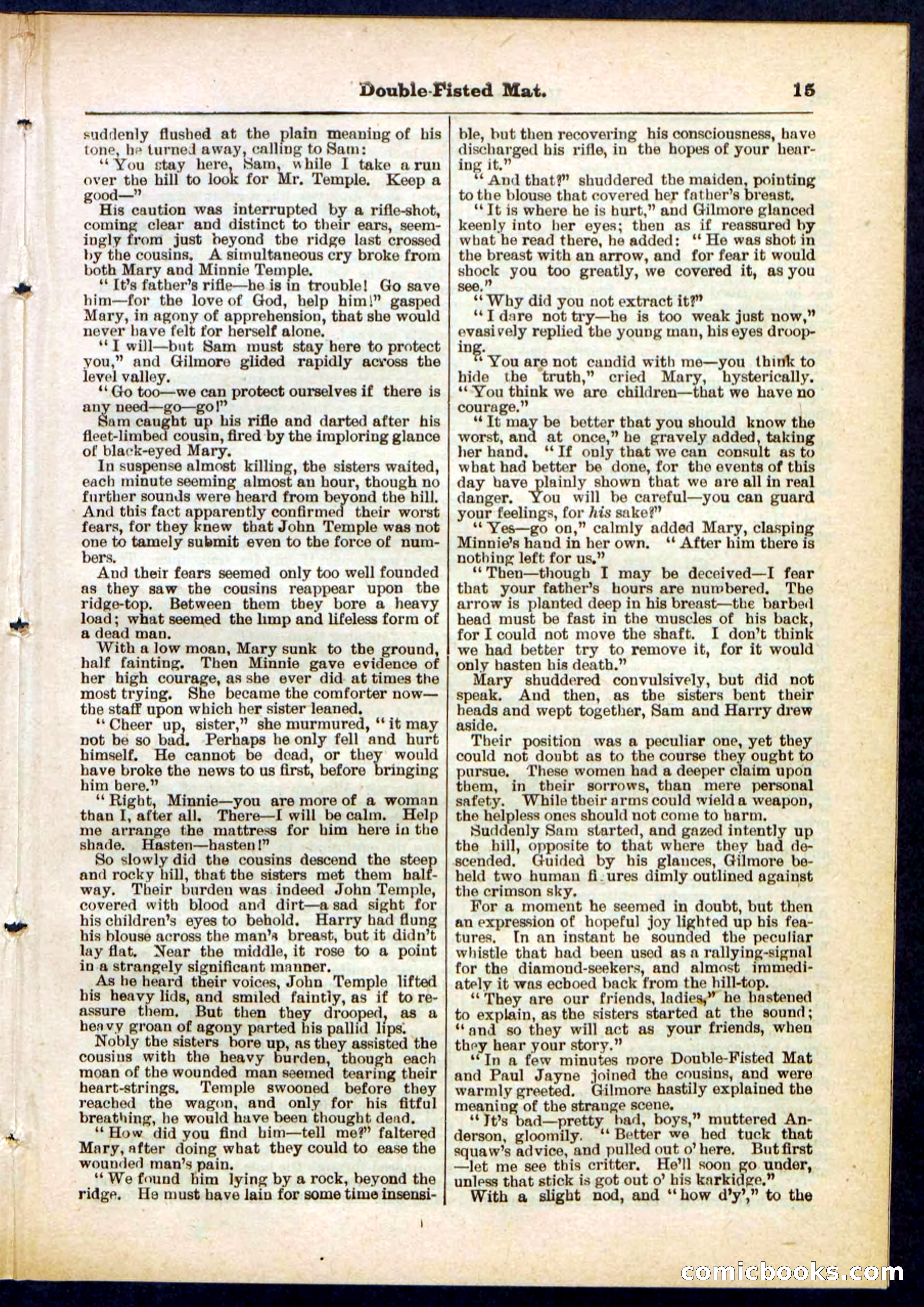 Beadle's Pocket Library, No. 308 — page 15 of 32