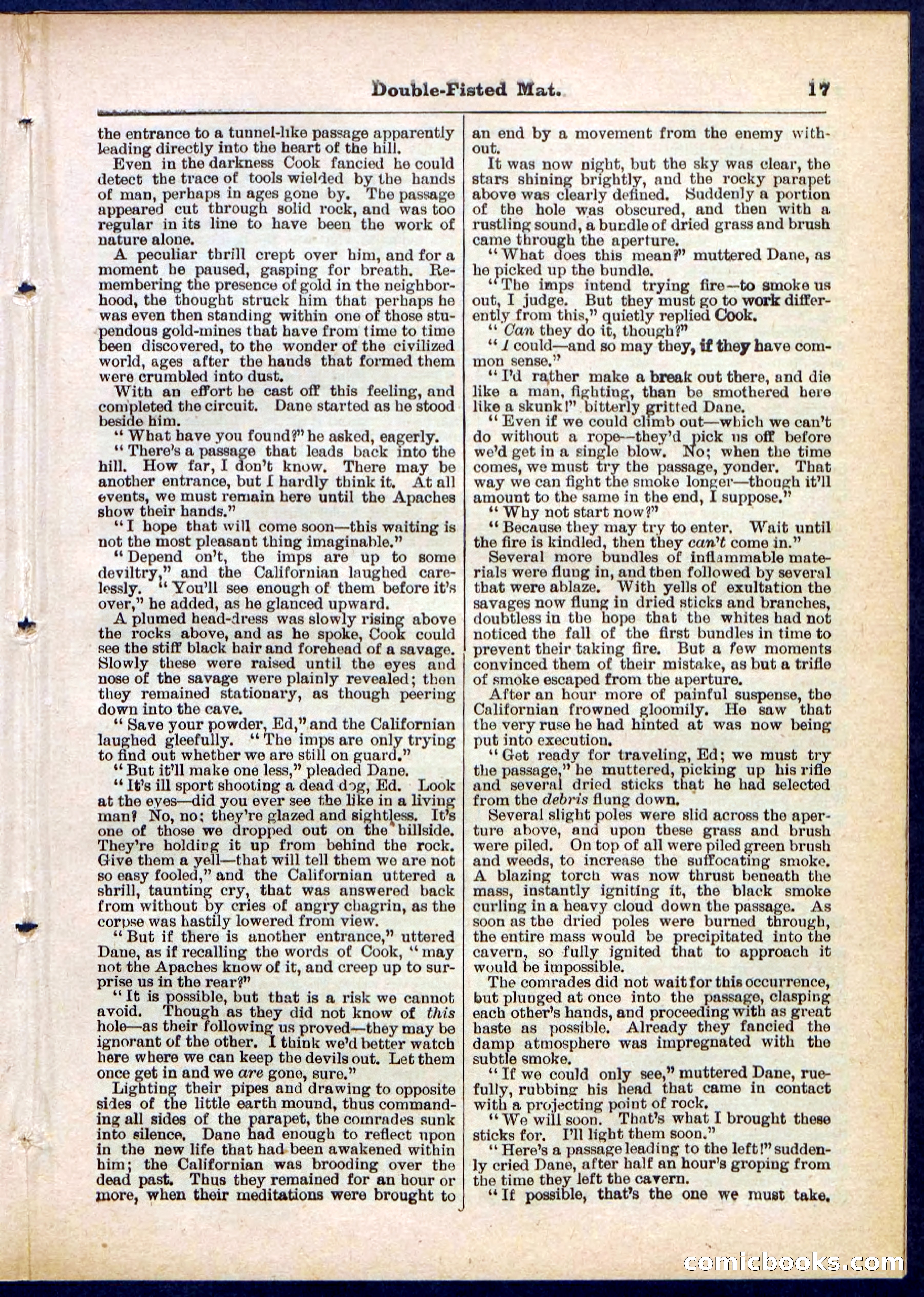 Beadle's Pocket Library, No. 308 — page 17 of 32