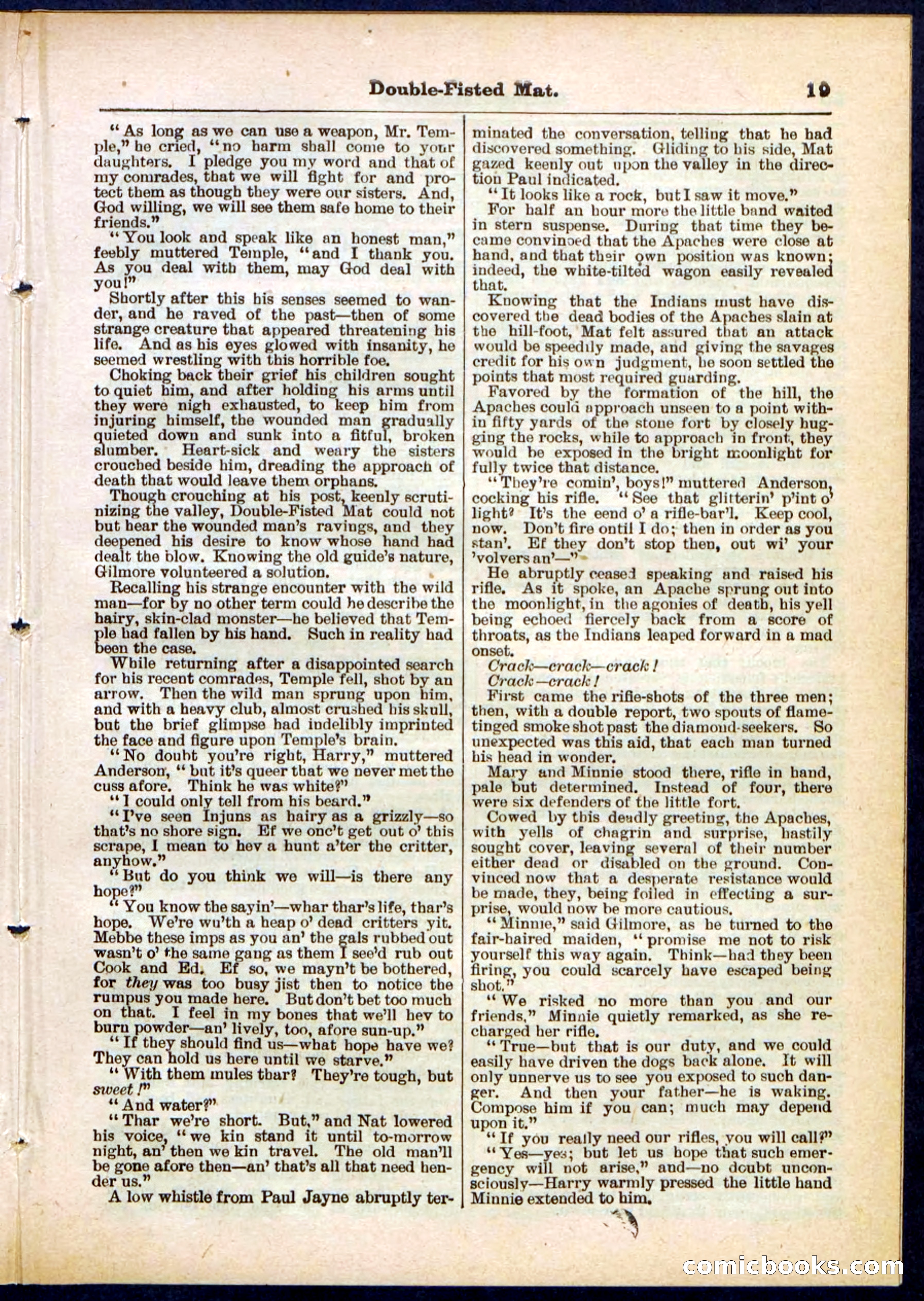 Beadle's Pocket Library, No. 308 — page 19 of 32