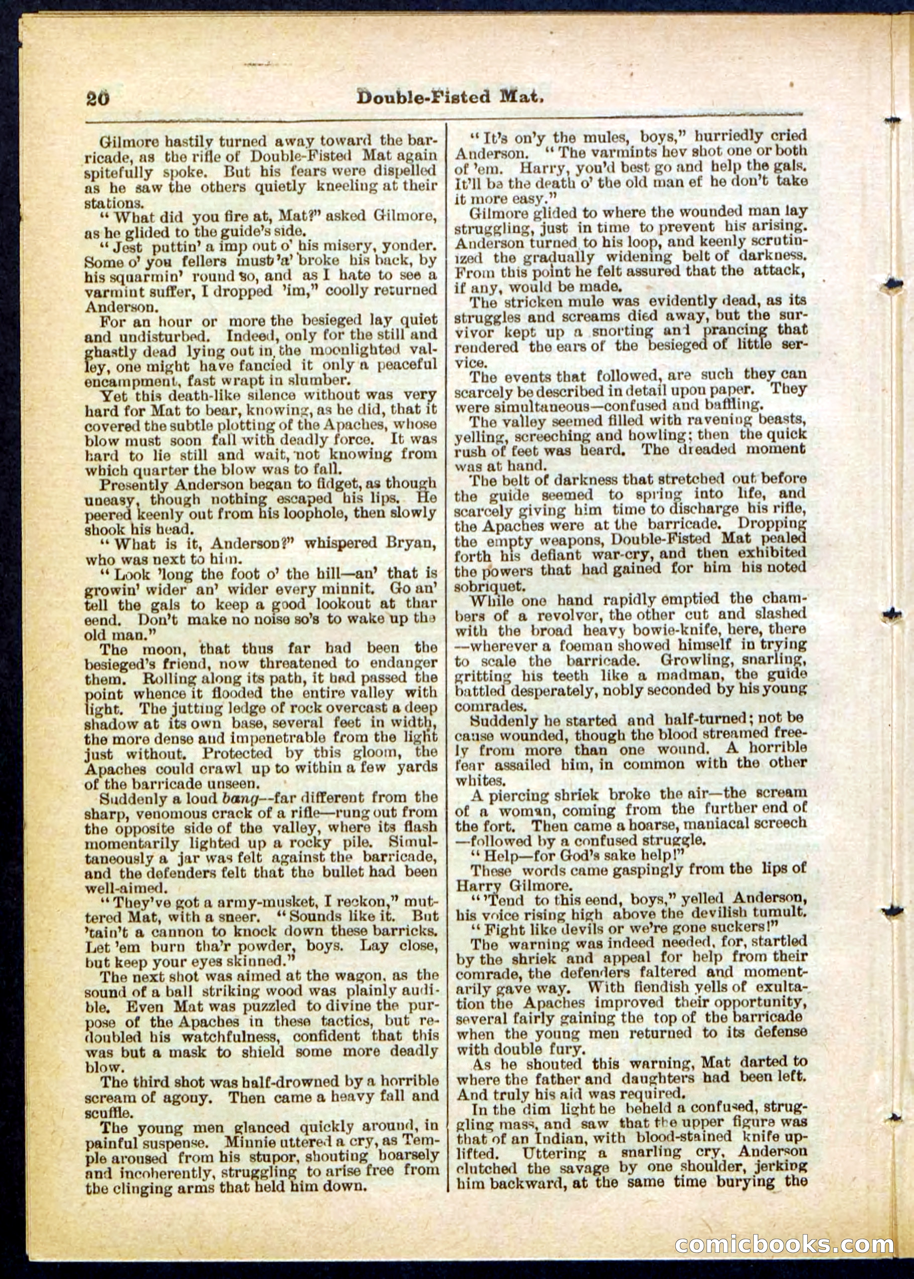 Beadle's Pocket Library, No. 308 — page 20 of 32