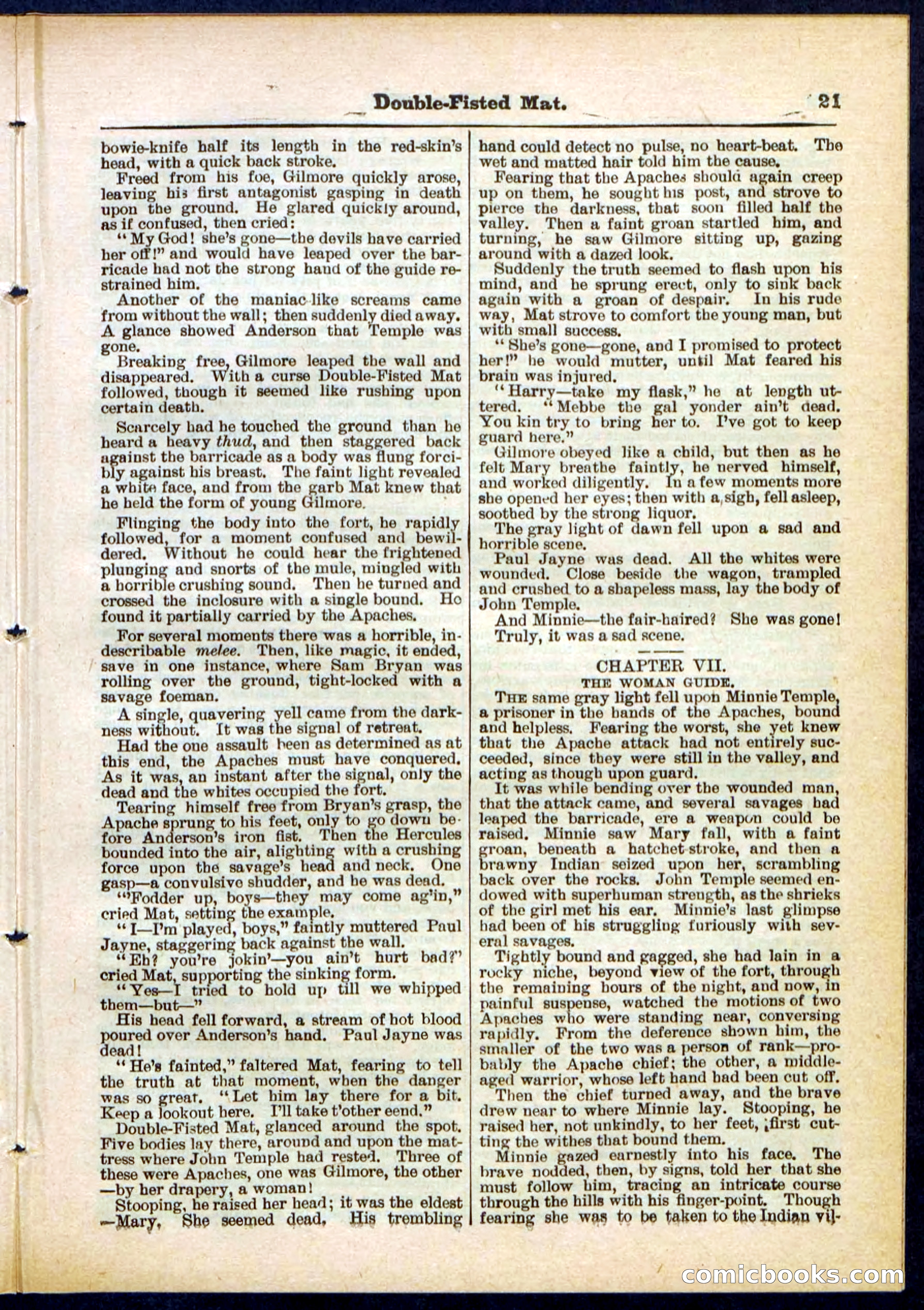 Beadle's Pocket Library, No. 308 — page 21 of 32