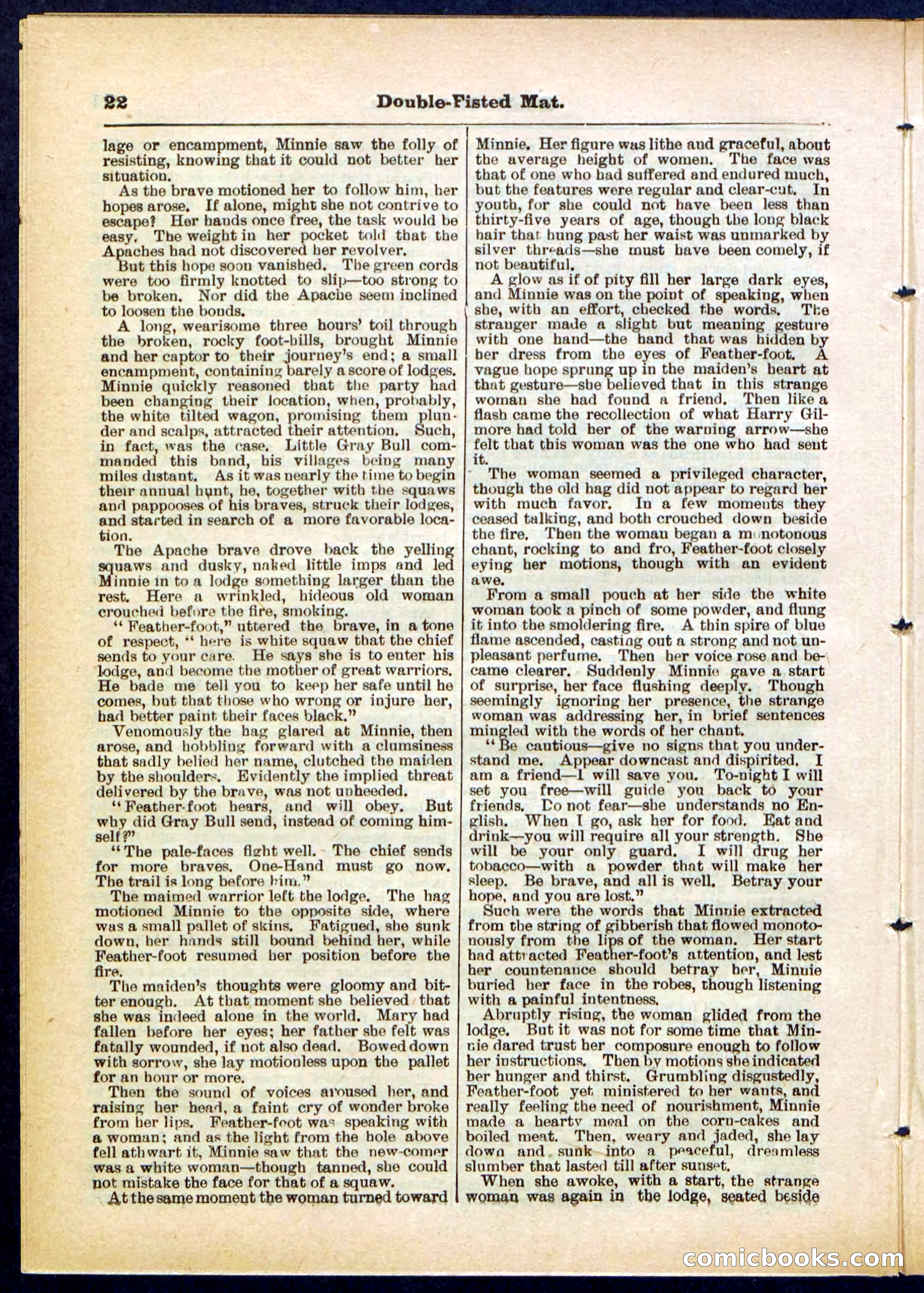 Beadle's Pocket Library, No. 308 — page 22 of 32