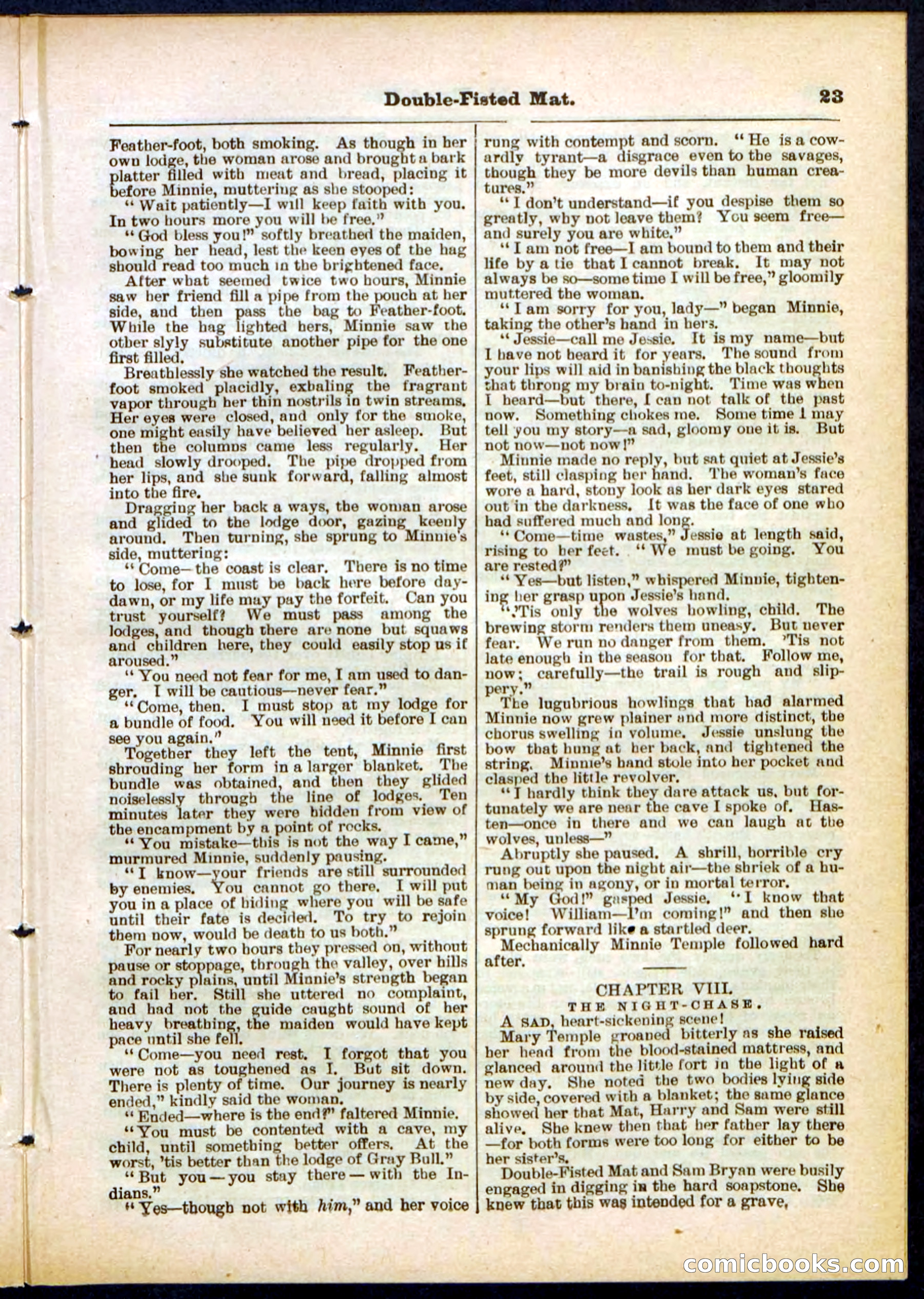 Beadle's Pocket Library, No. 308 — page 23 of 32