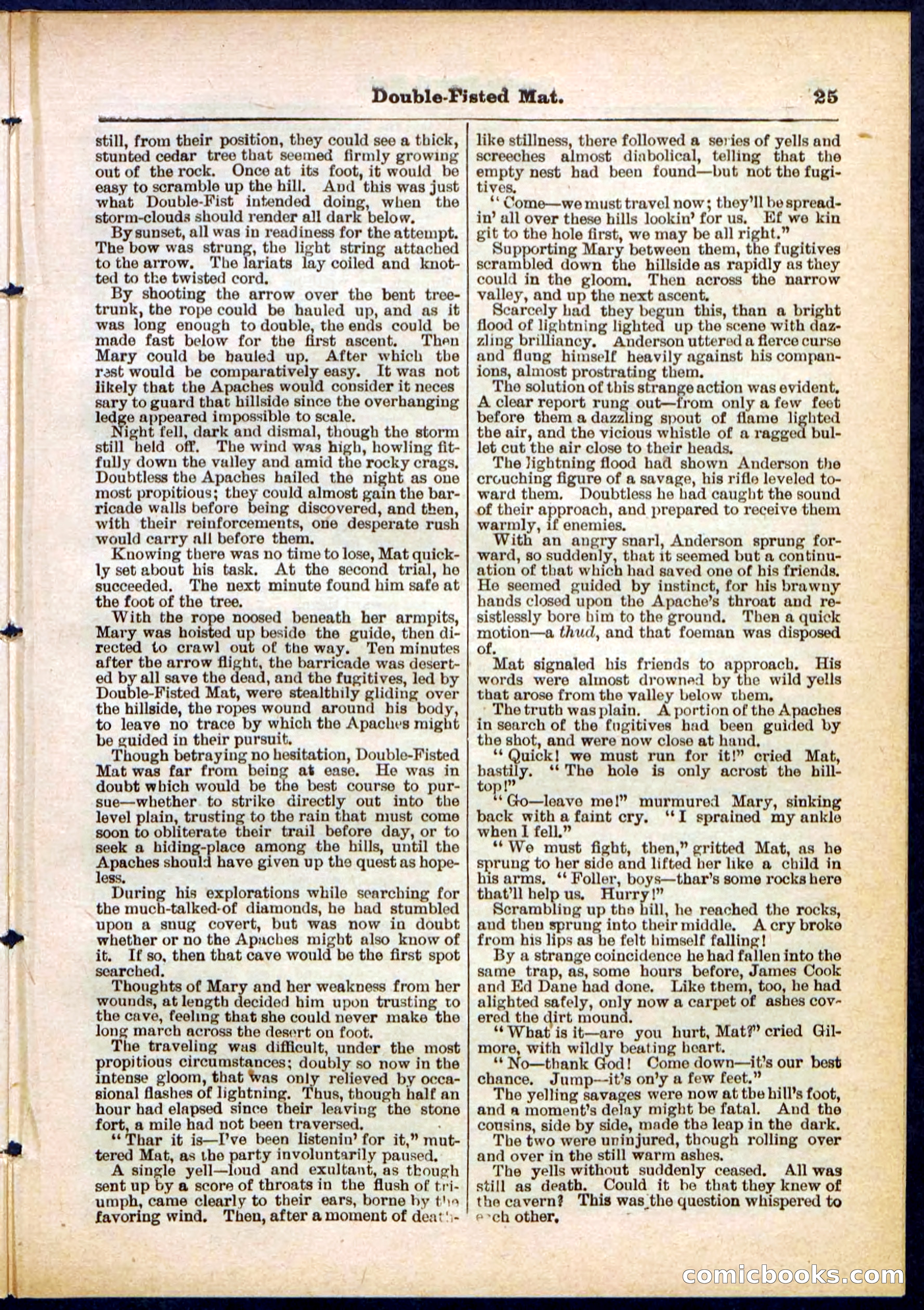 Beadle's Pocket Library, No. 308 — page 25 of 32