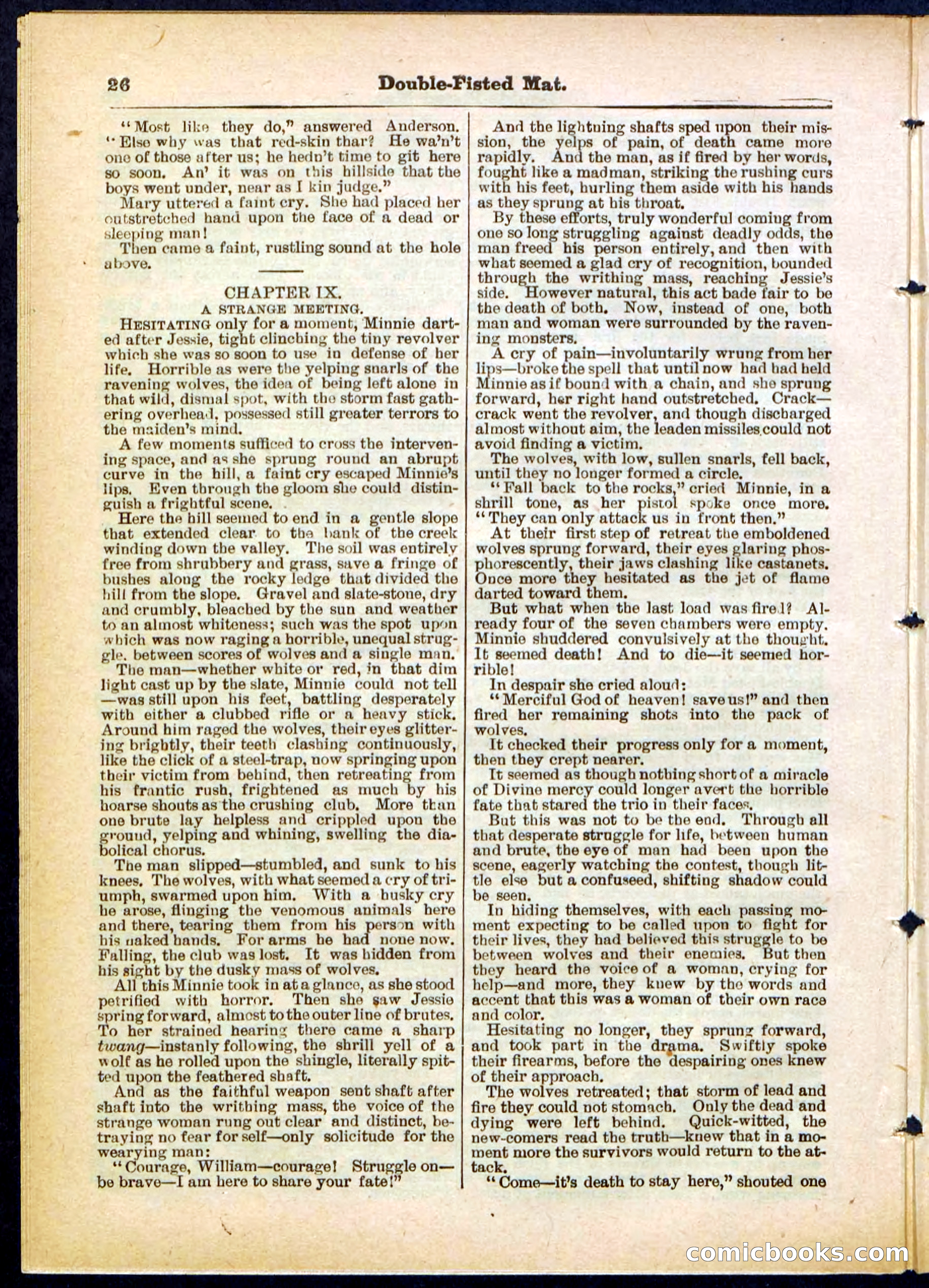 Beadle's Pocket Library, No. 308 — page 26 of 32