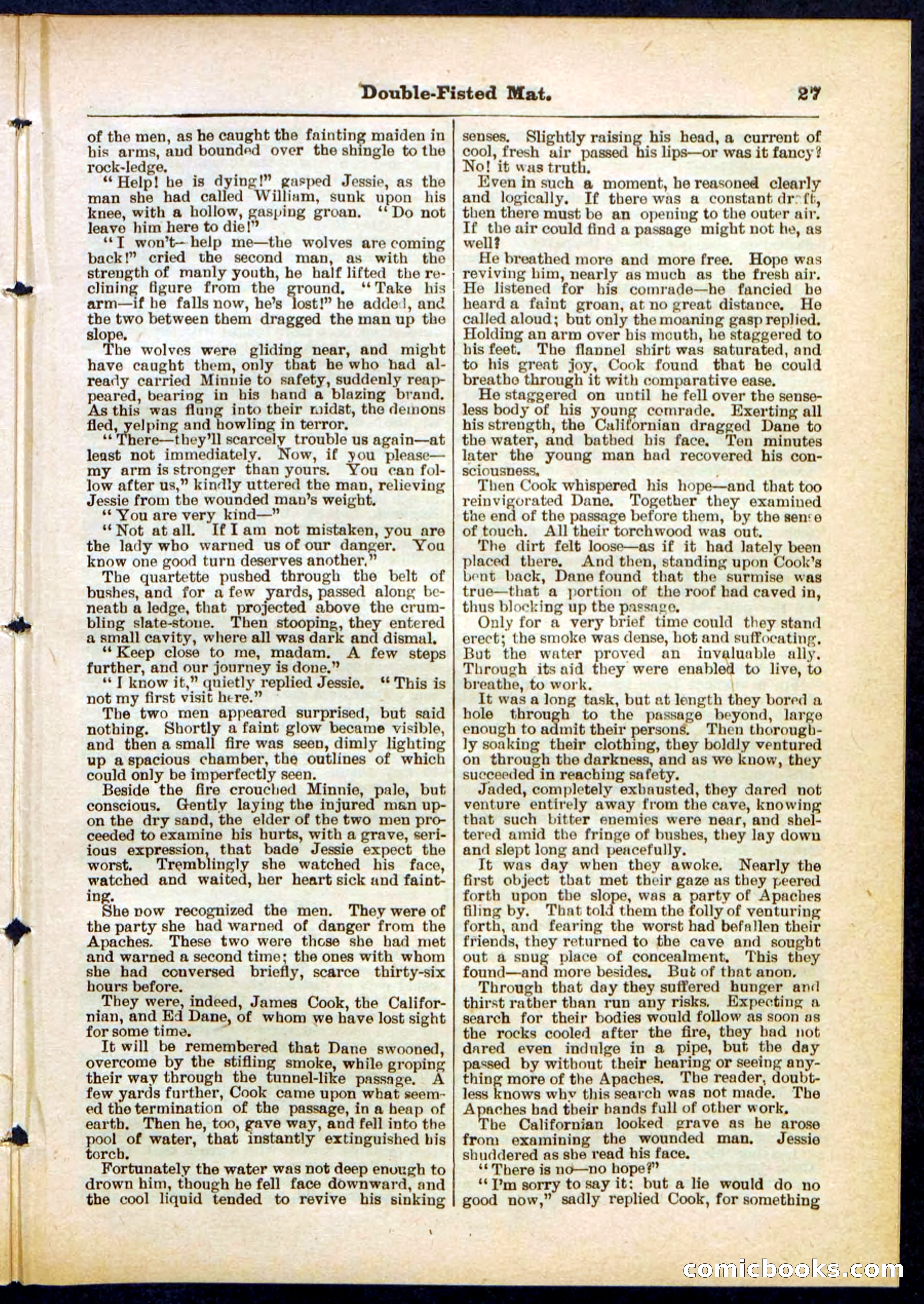 Beadle's Pocket Library, No. 308 — page 27 of 32