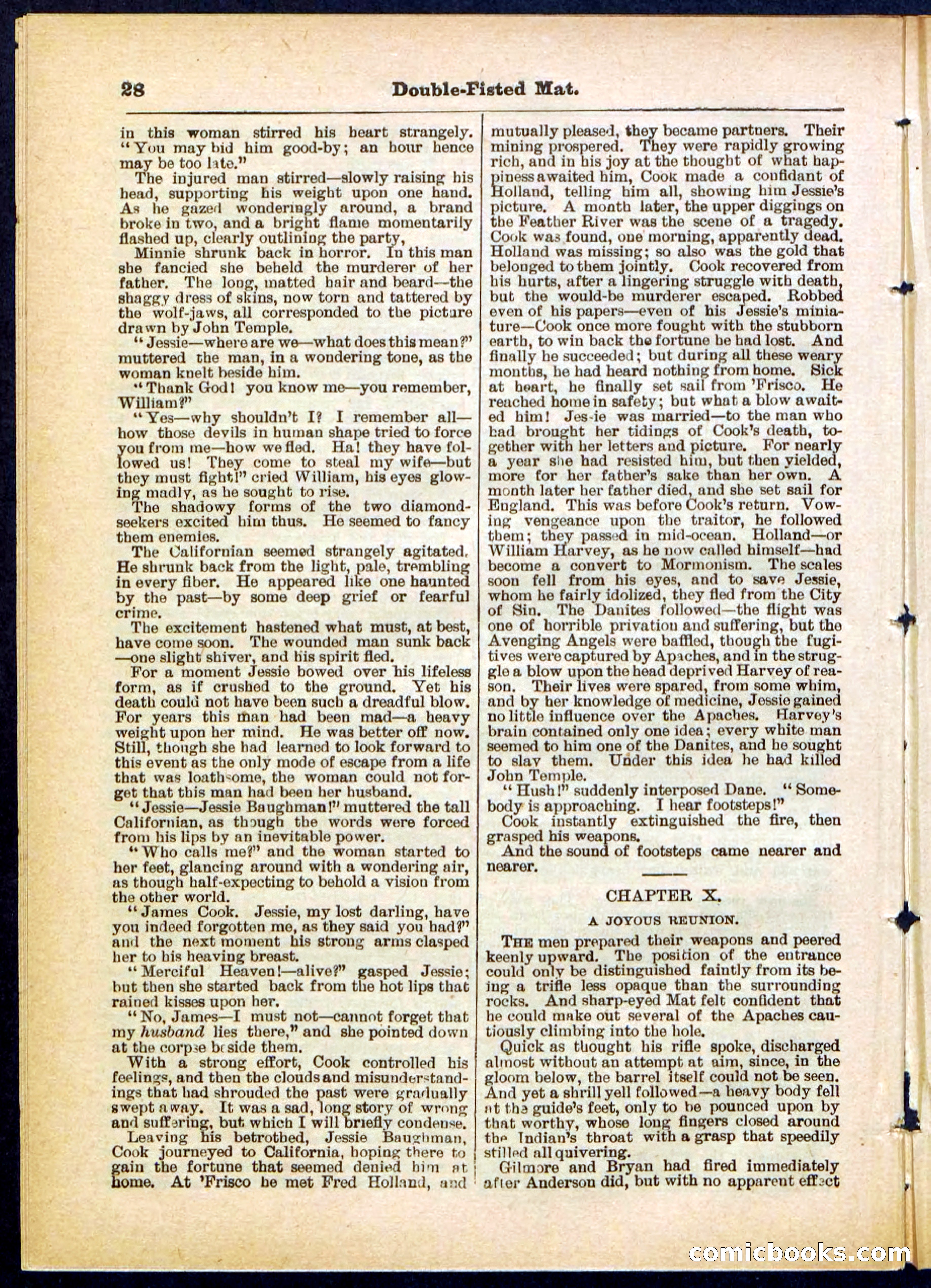 Beadle's Pocket Library, No. 308 — page 28 of 32