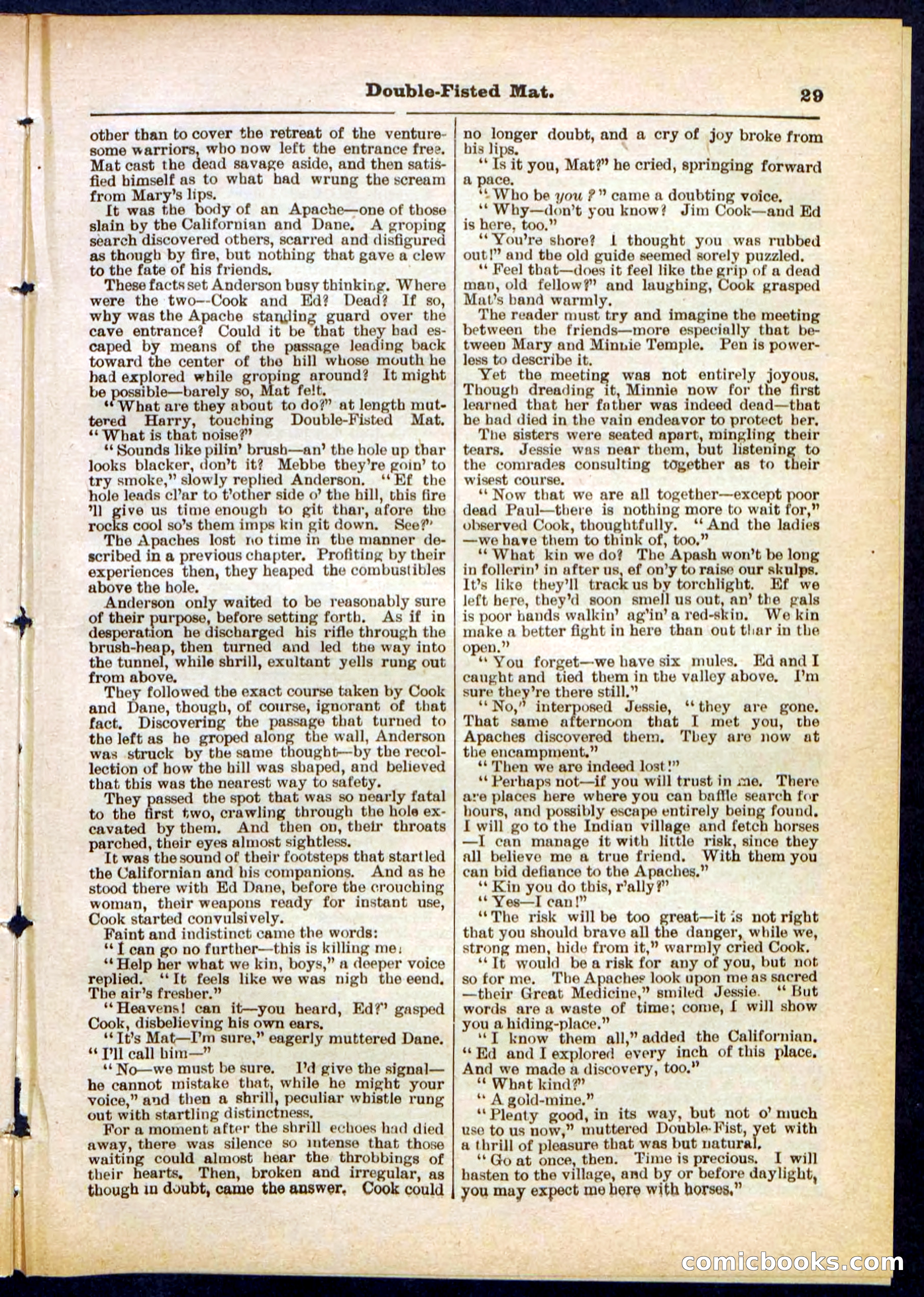 Beadle's Pocket Library, No. 308 — page 29 of 32