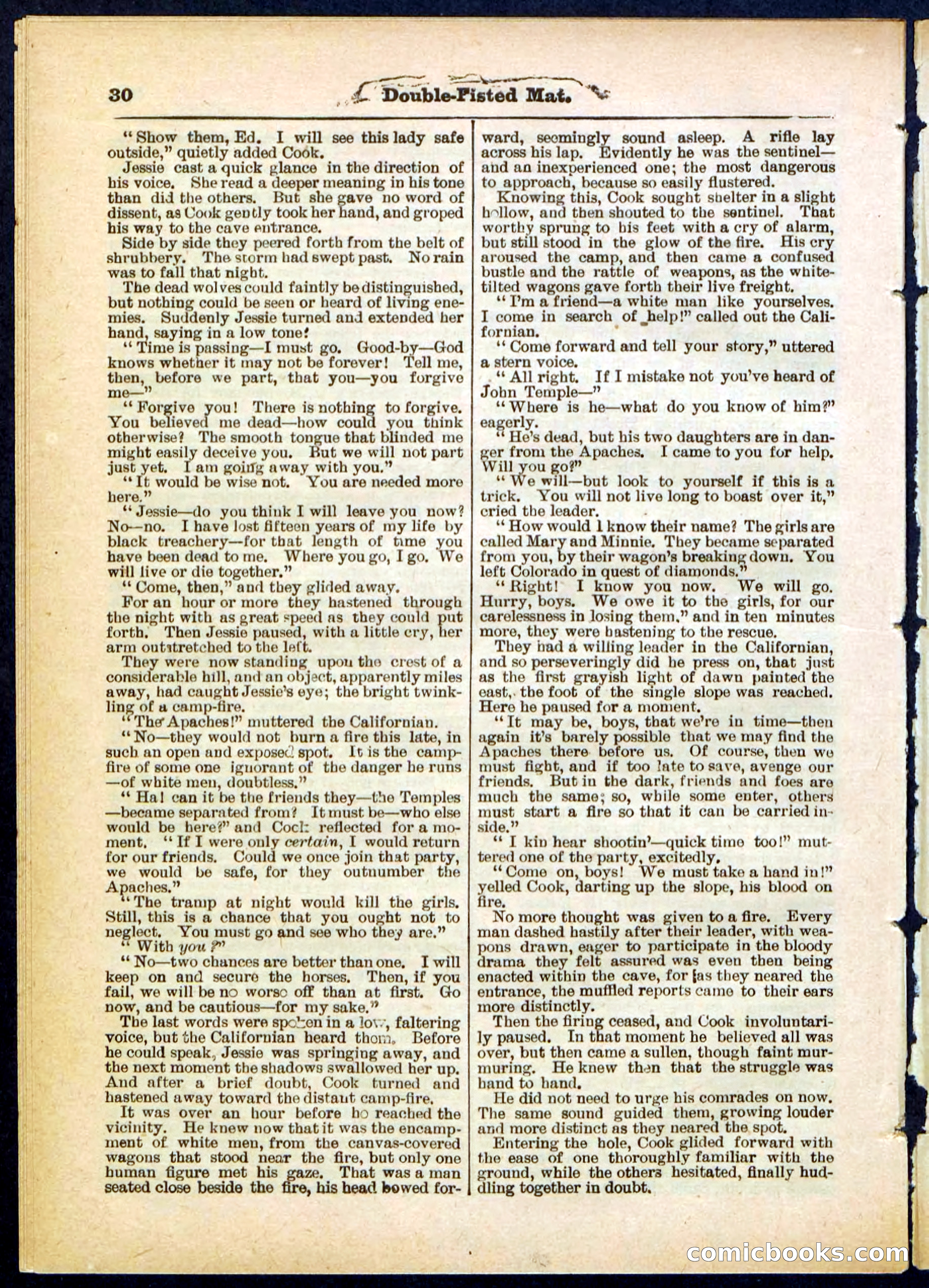 Beadle's Pocket Library, No. 308 — page 30 of 32