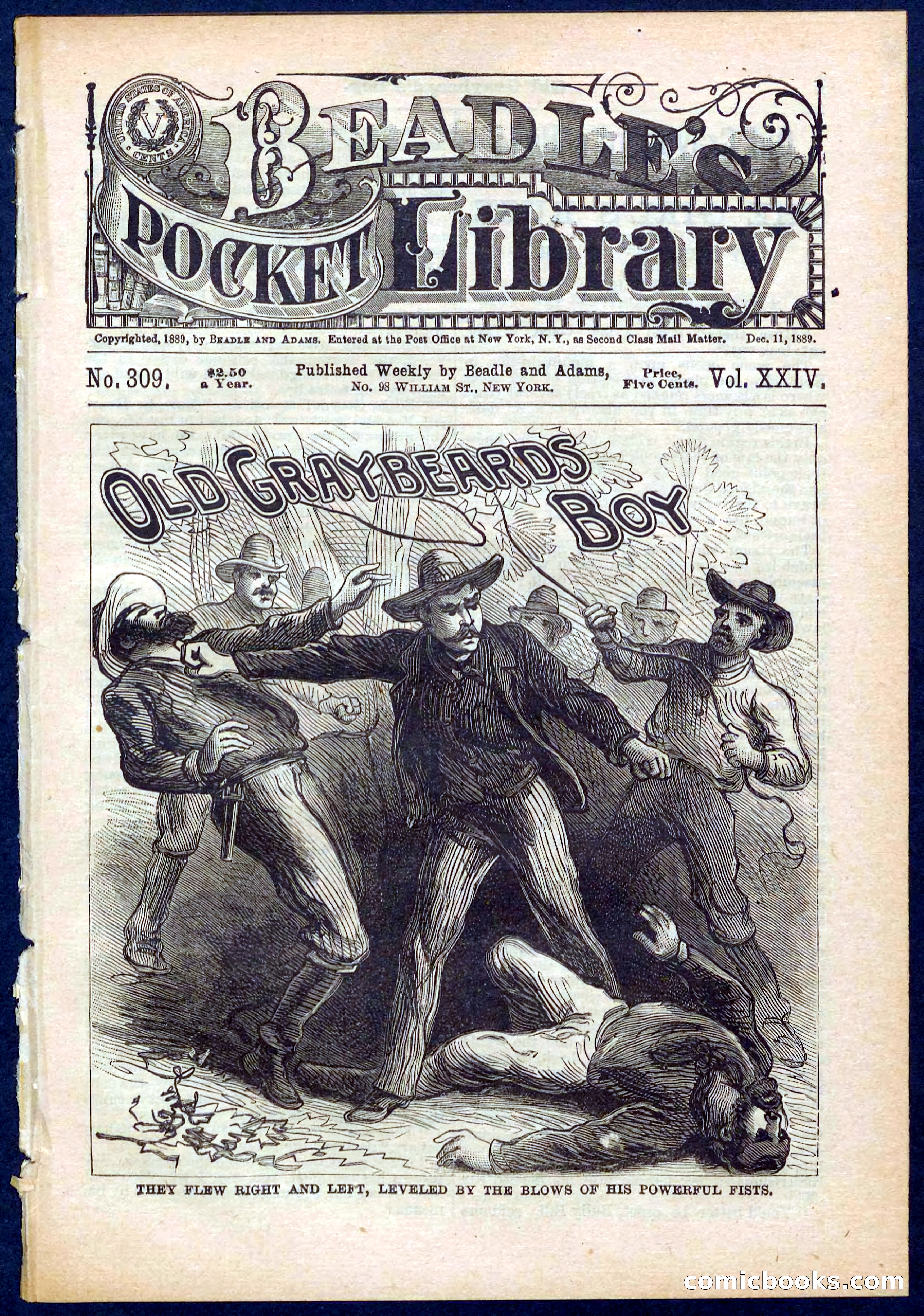 Beadle's Pocket Library No. 309 — page 1 of 32