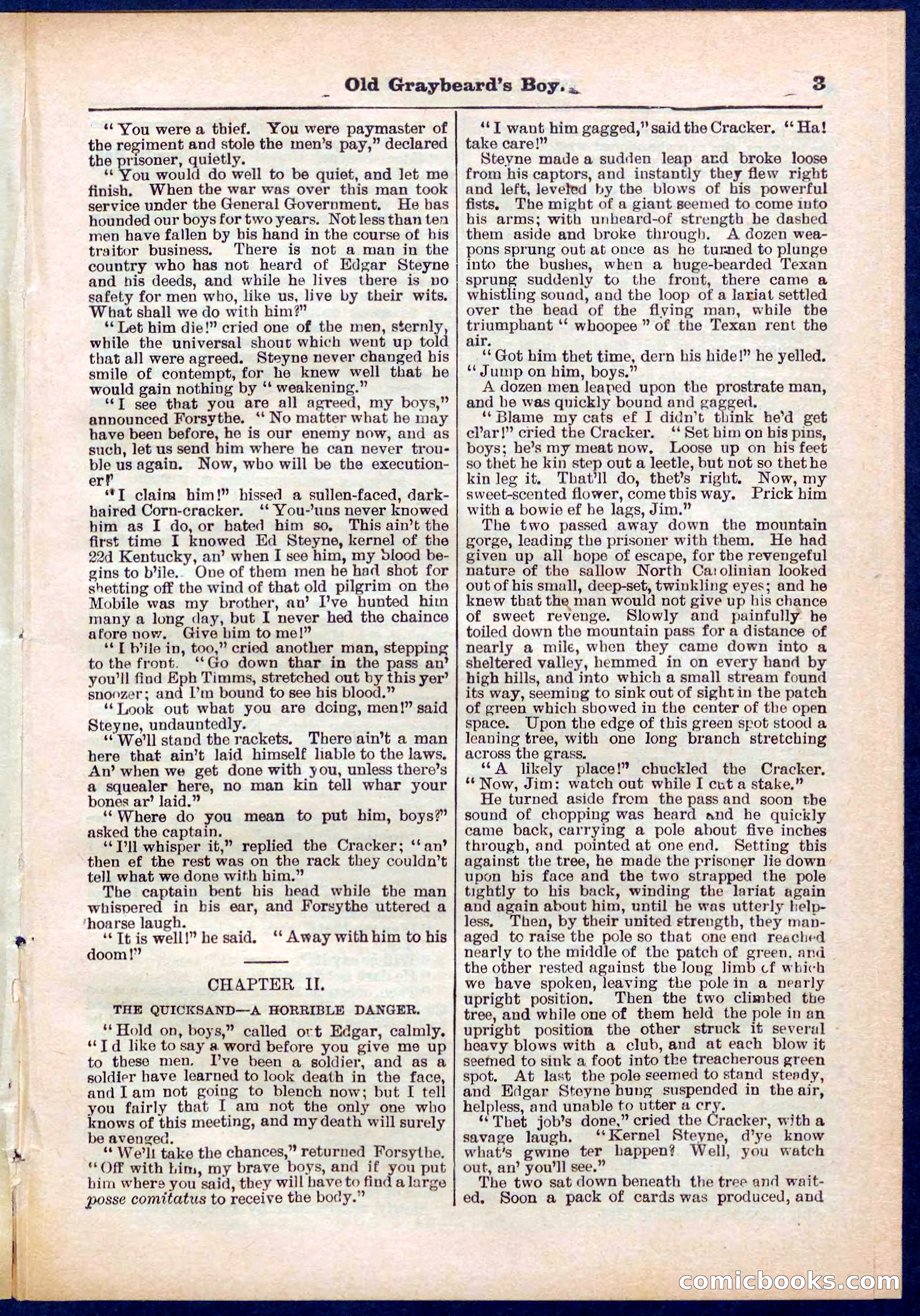 Beadle's Pocket Library No. 309 — page 3 of 32