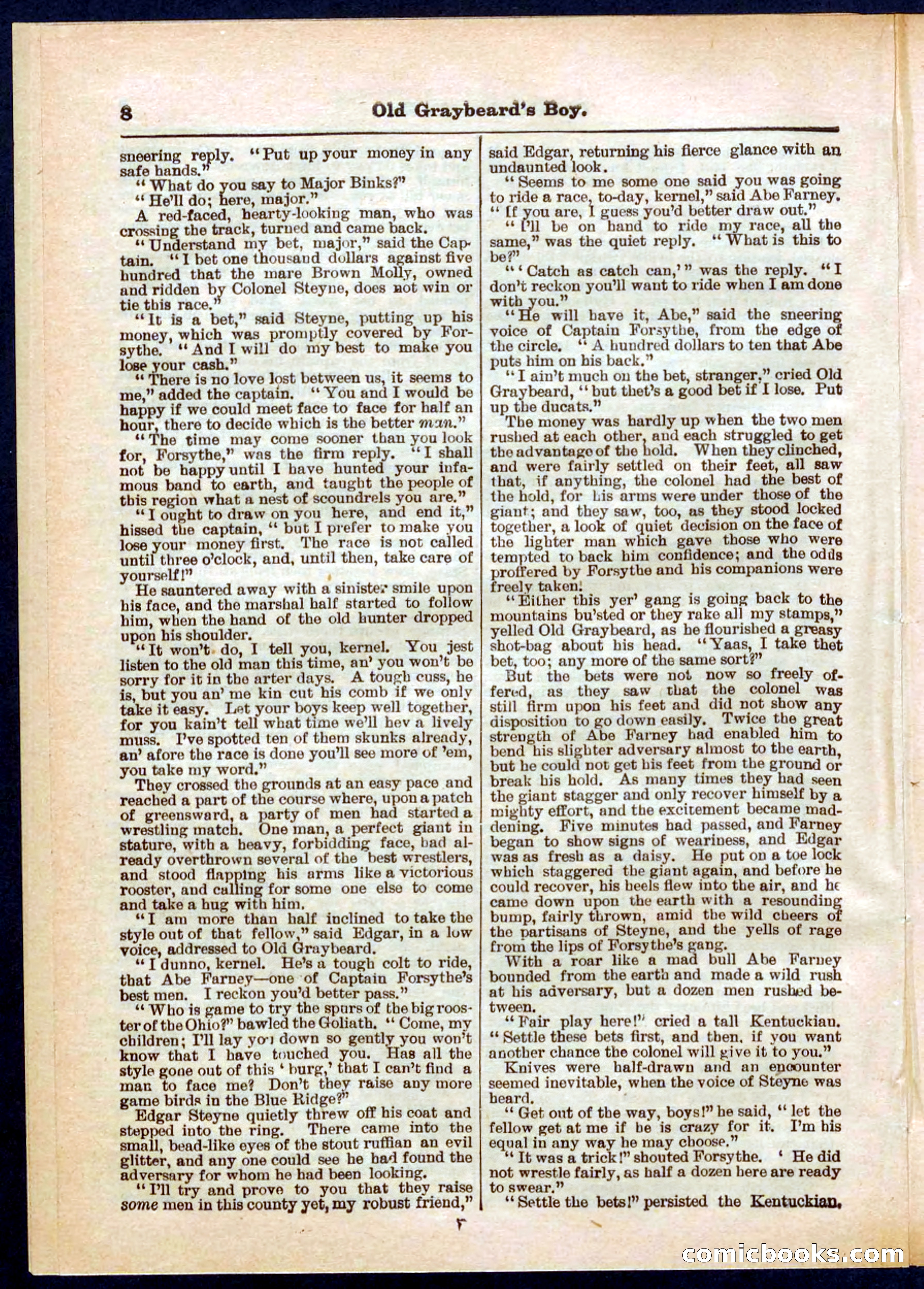 Beadle's Pocket Library No. 309 — page 8 of 32