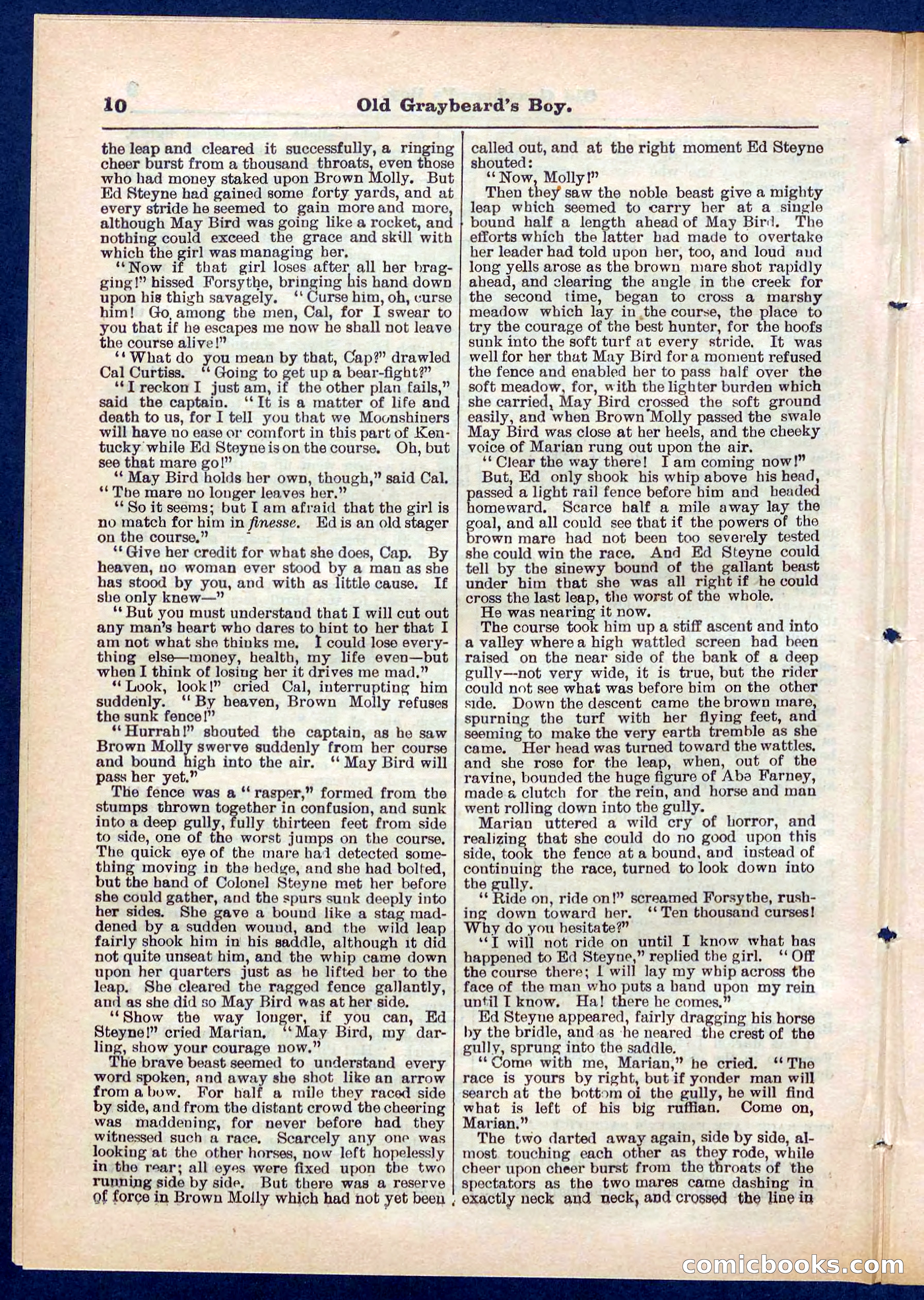 Beadle's Pocket Library No. 309 — page 10 of 32
