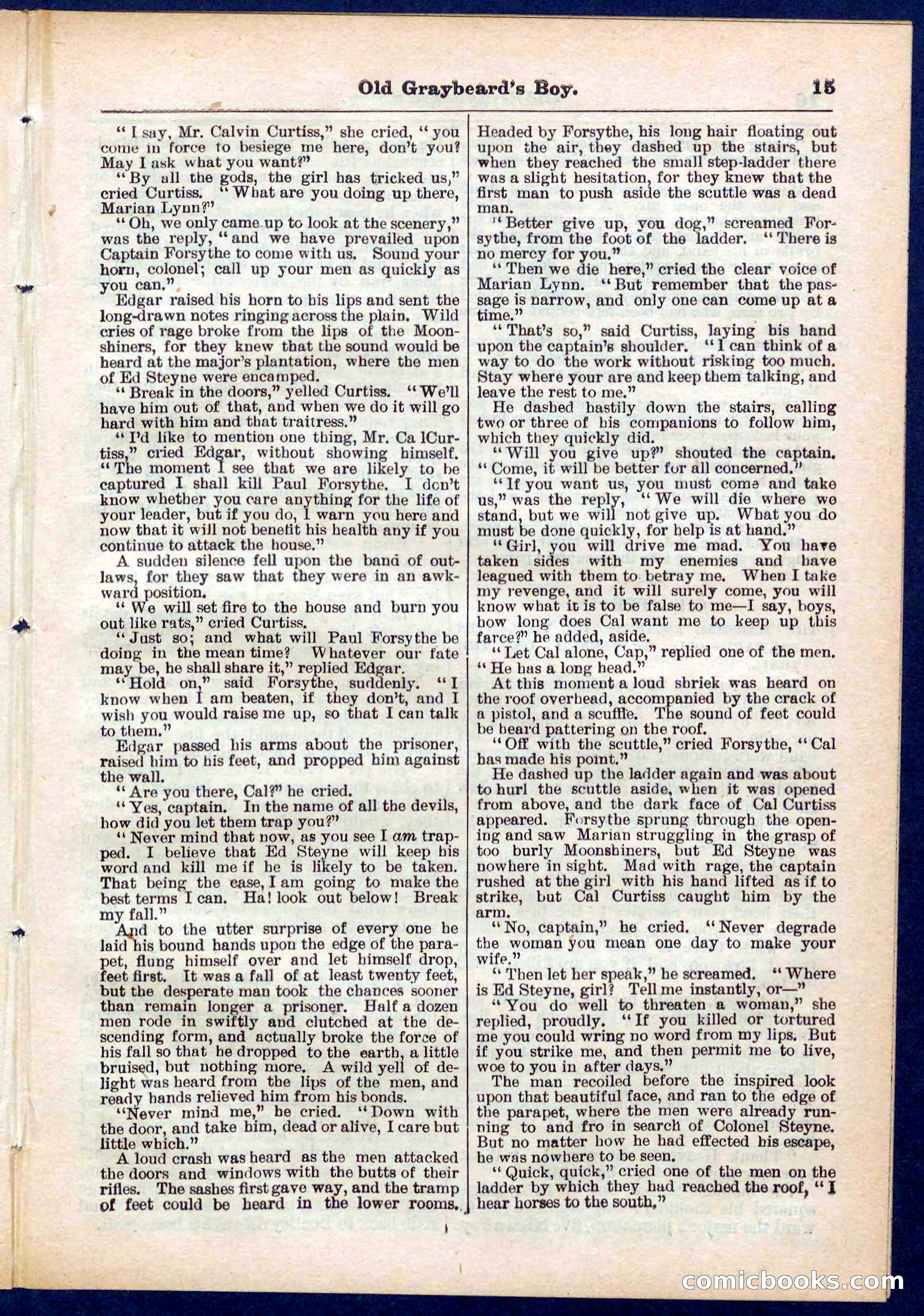 Beadle's Pocket Library No. 309 — page 15 of 32