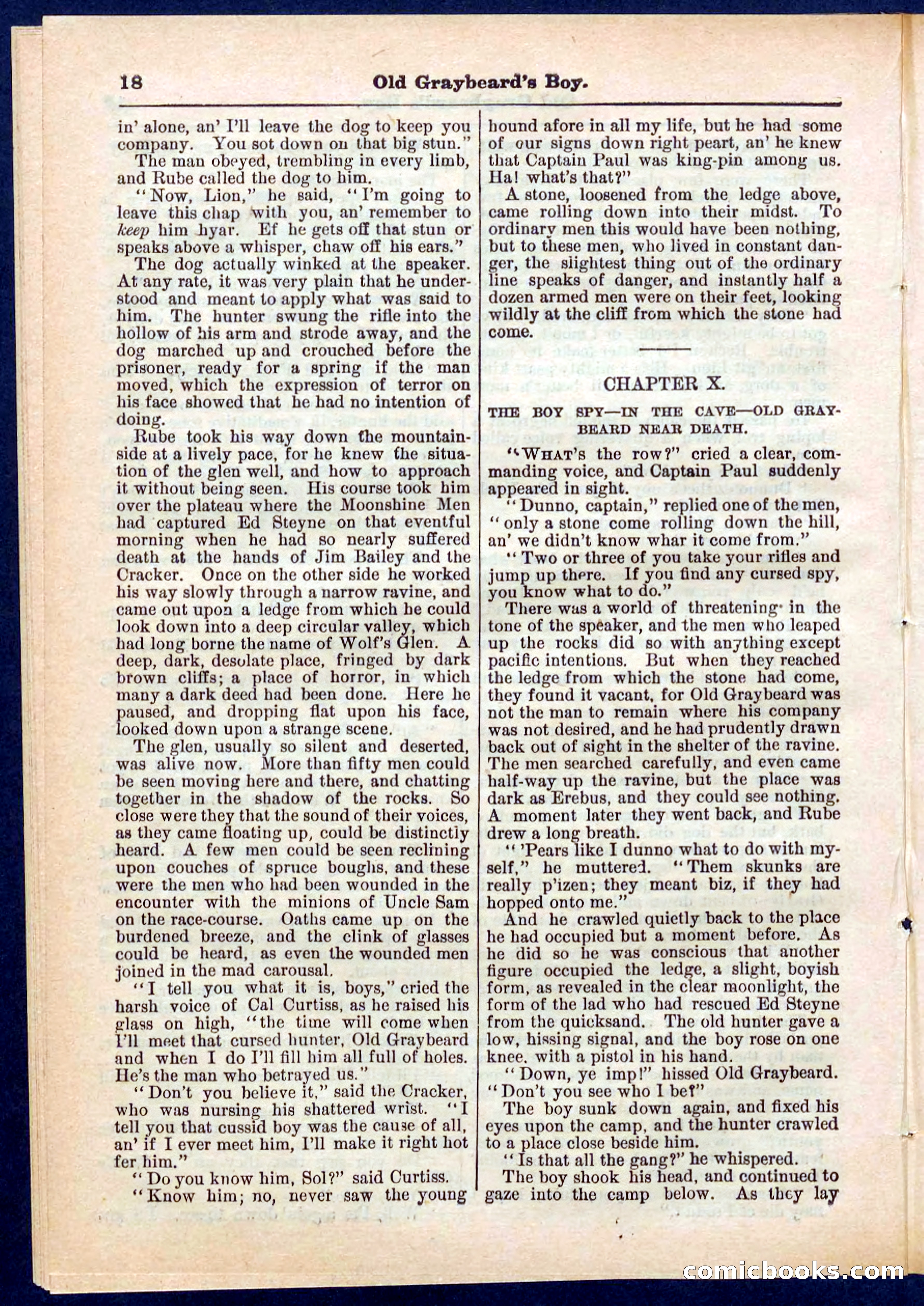 Beadle's Pocket Library No. 309 — page 18 of 32