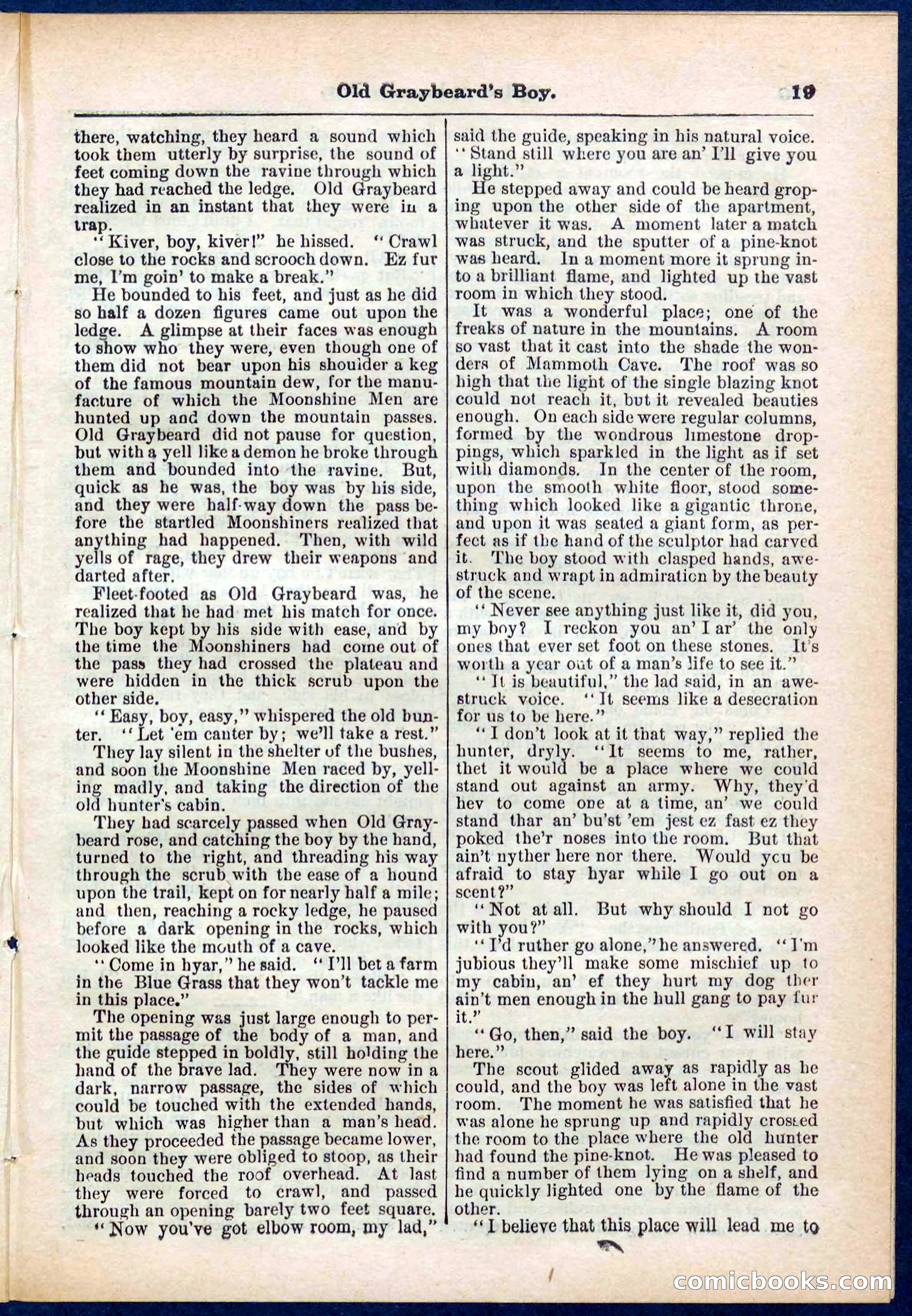 Beadle's Pocket Library No. 309 — page 19 of 32