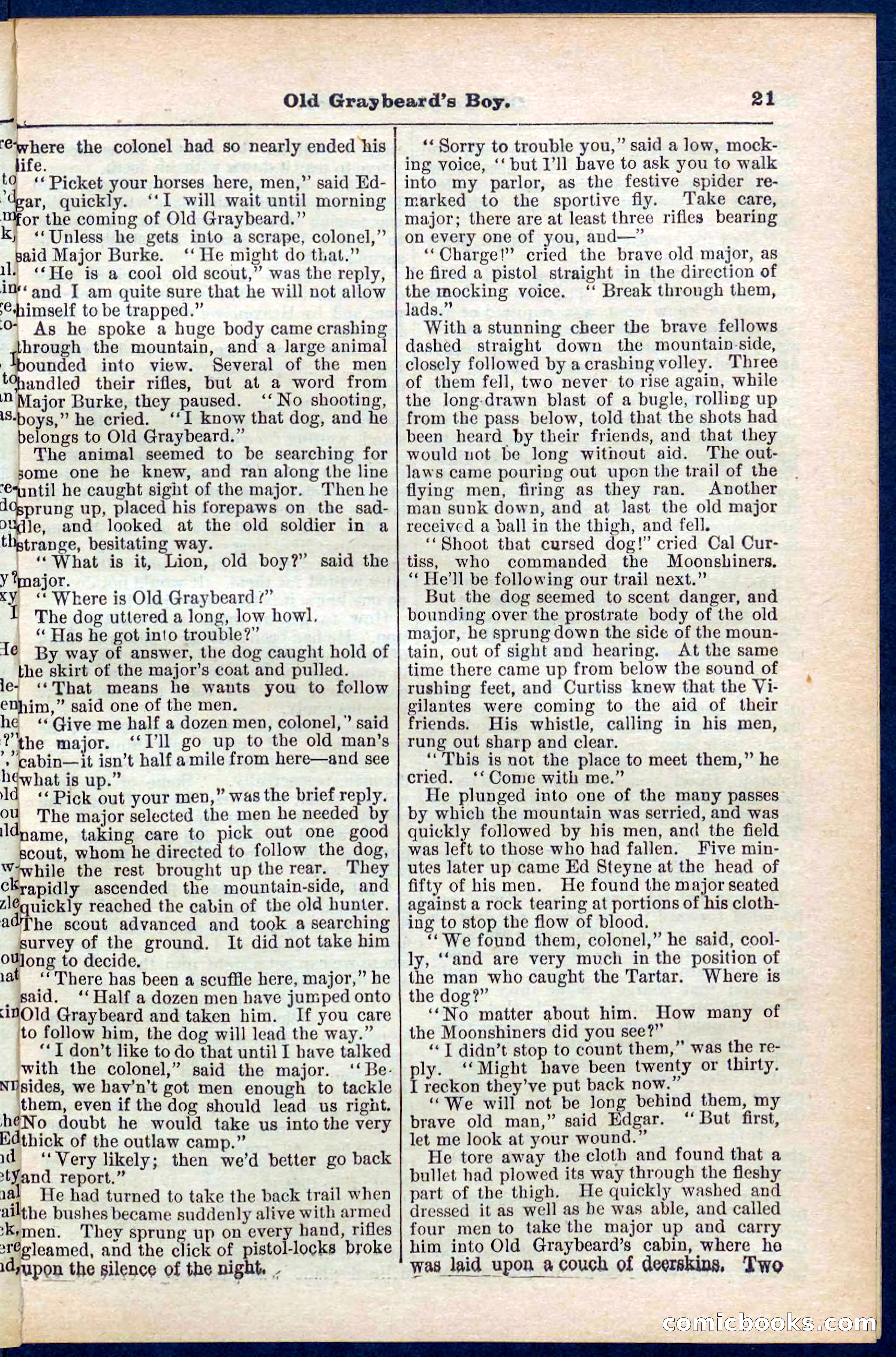 Beadle's Pocket Library No. 309 — page 21 of 32