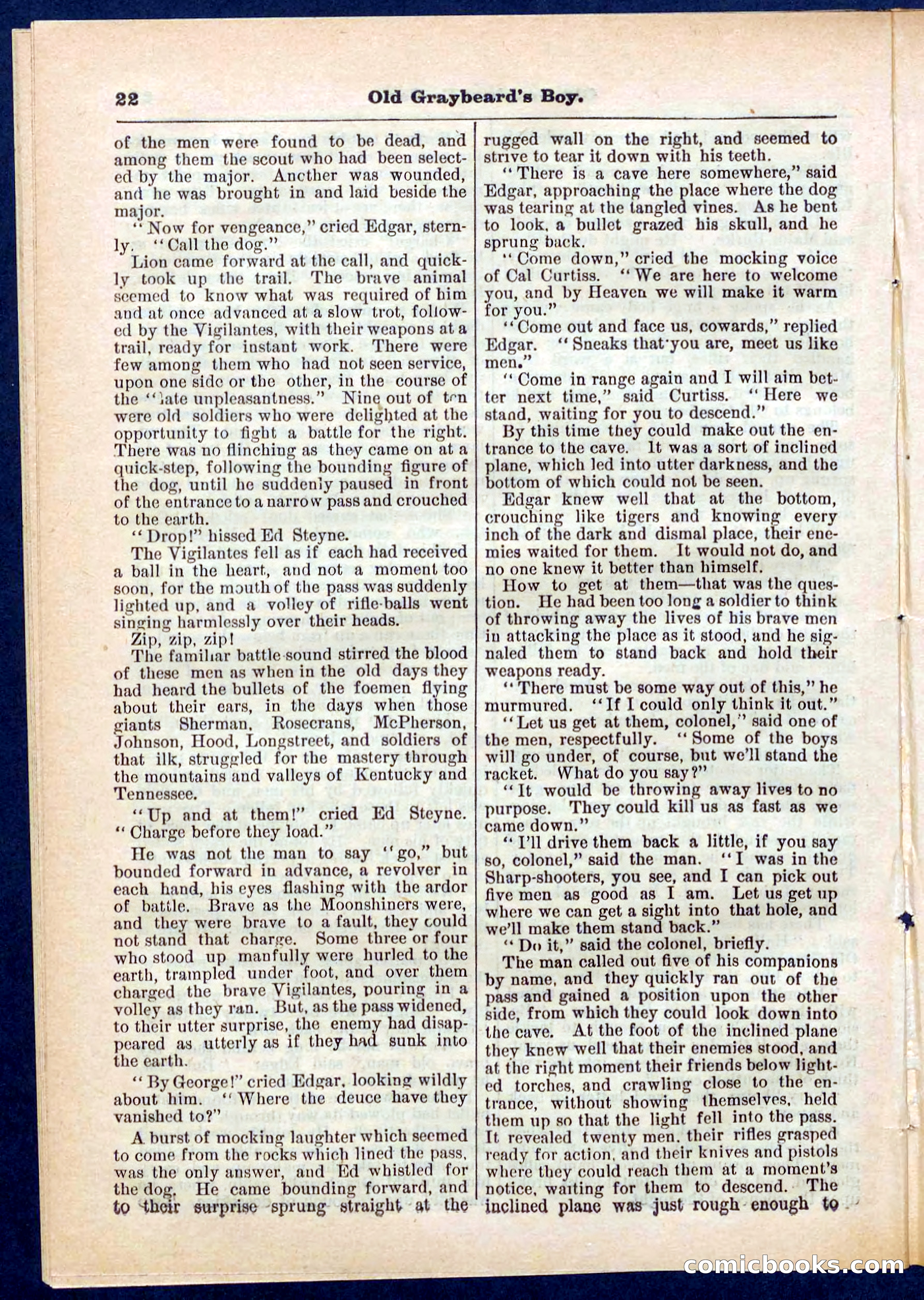Beadle's Pocket Library No. 309 — page 22 of 32