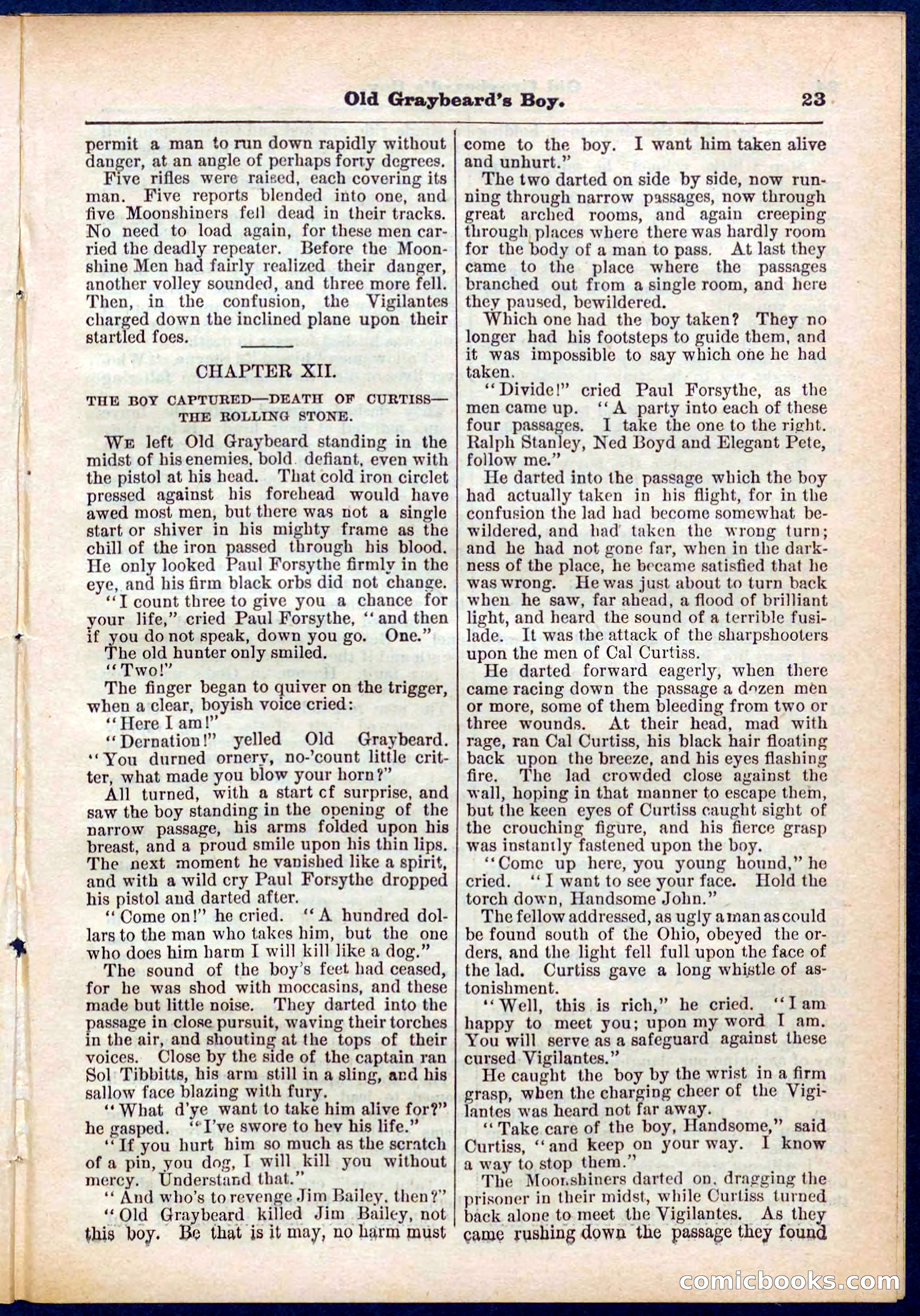 Beadle's Pocket Library No. 309 — page 23 of 32