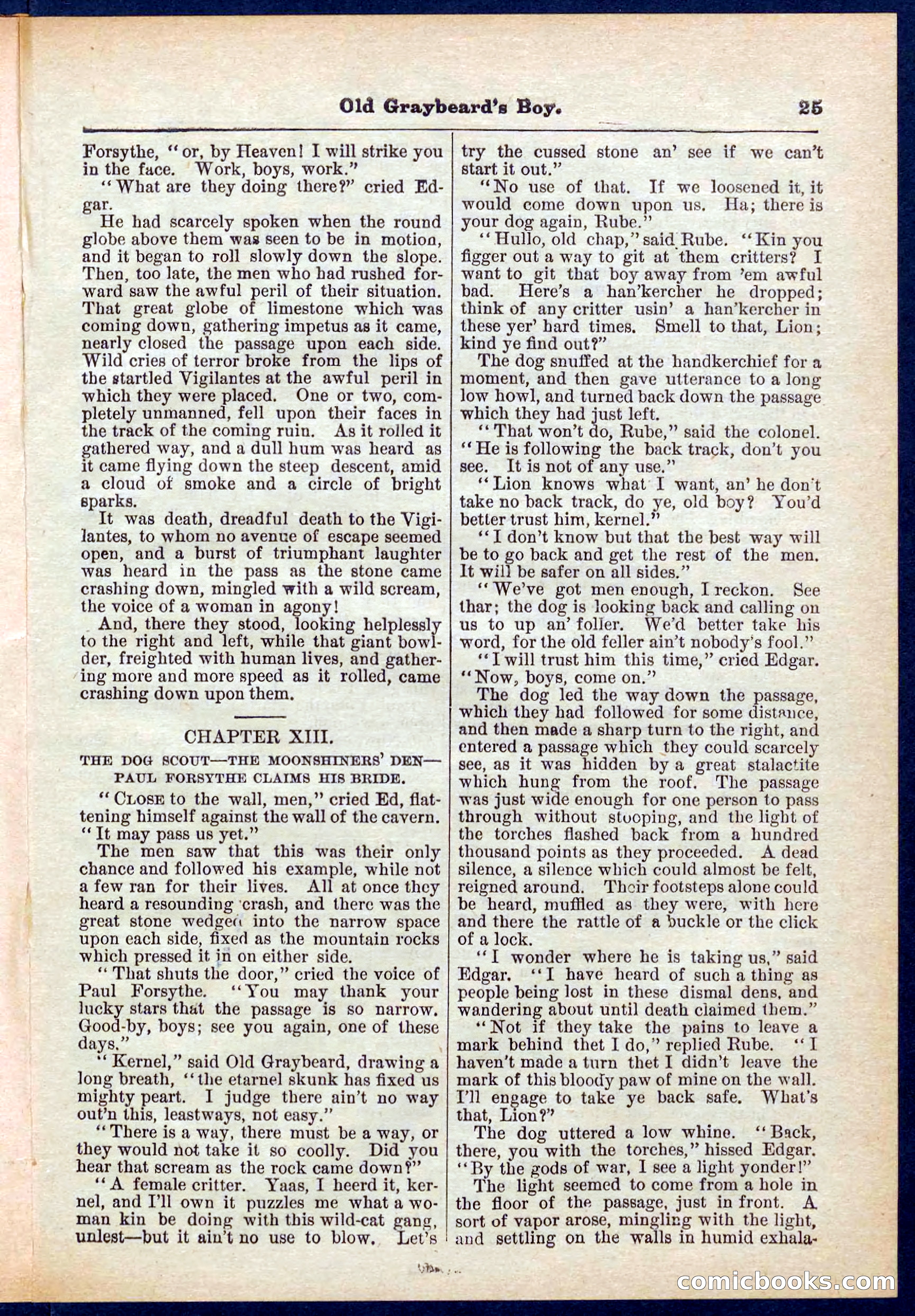 Beadle's Pocket Library No. 309 — page 25 of 32