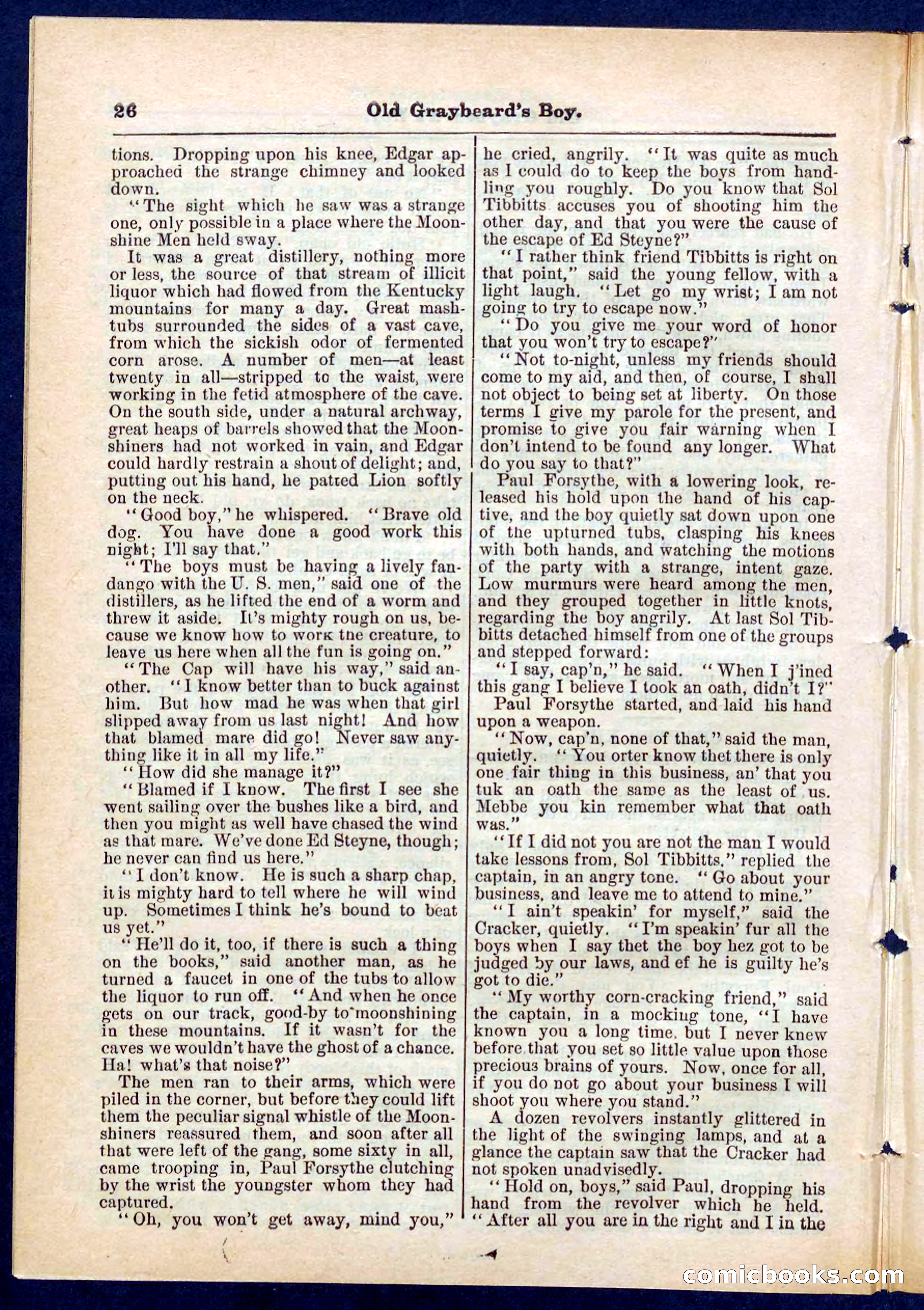 Beadle's Pocket Library No. 309 — page 26 of 32