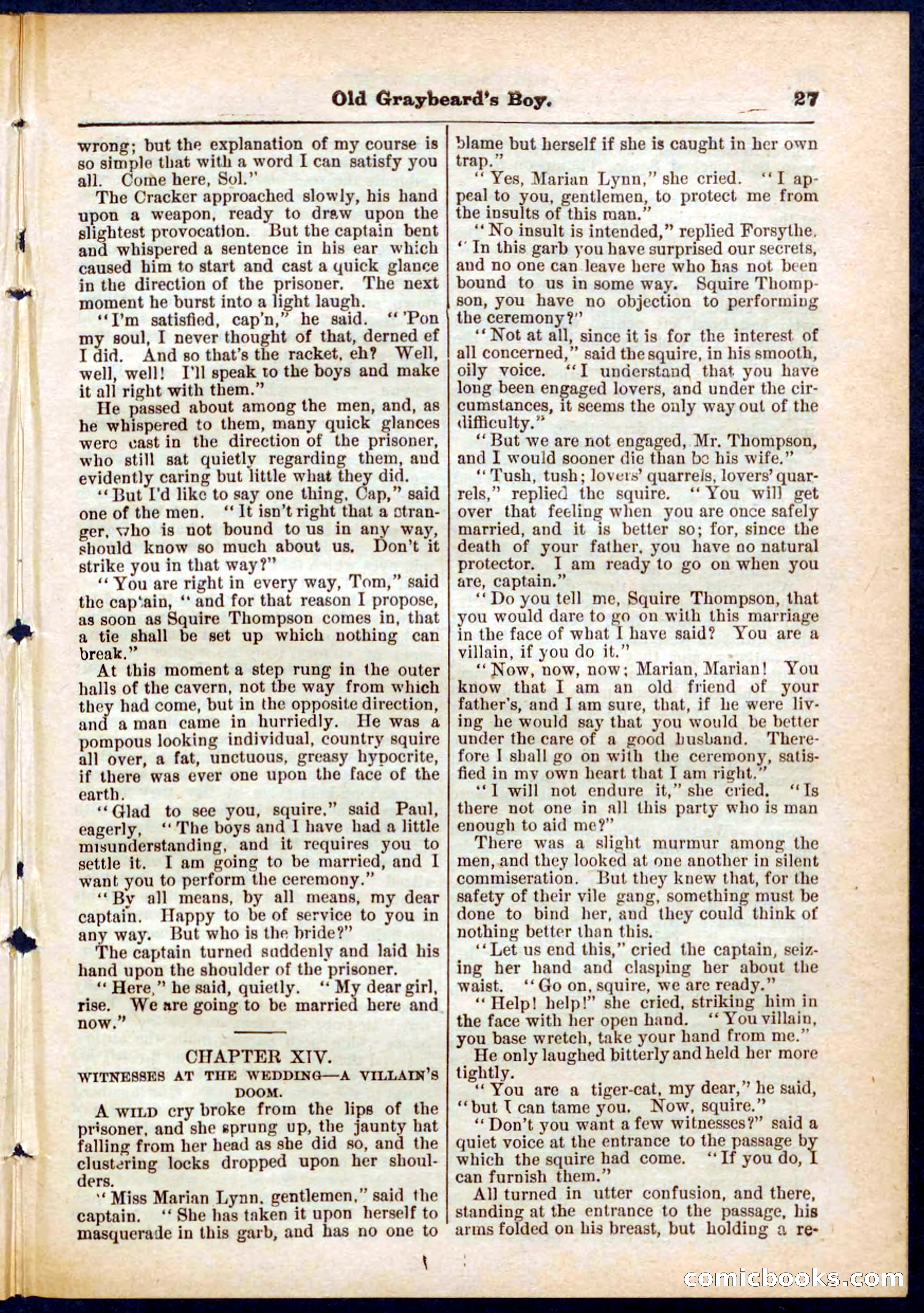 Beadle's Pocket Library No. 309 — page 27 of 32